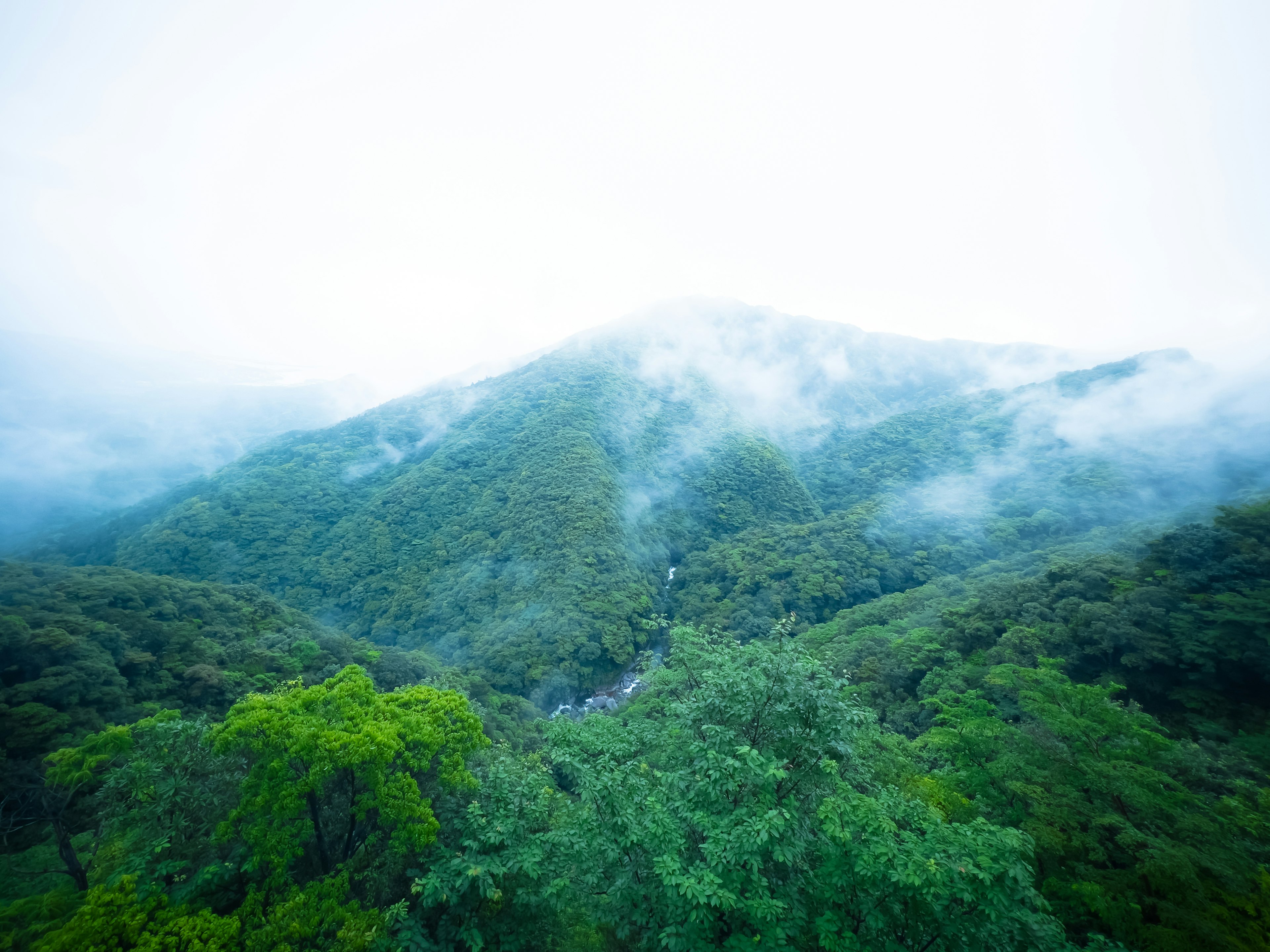 Lush green hills shrouded in mist with a serene atmosphere