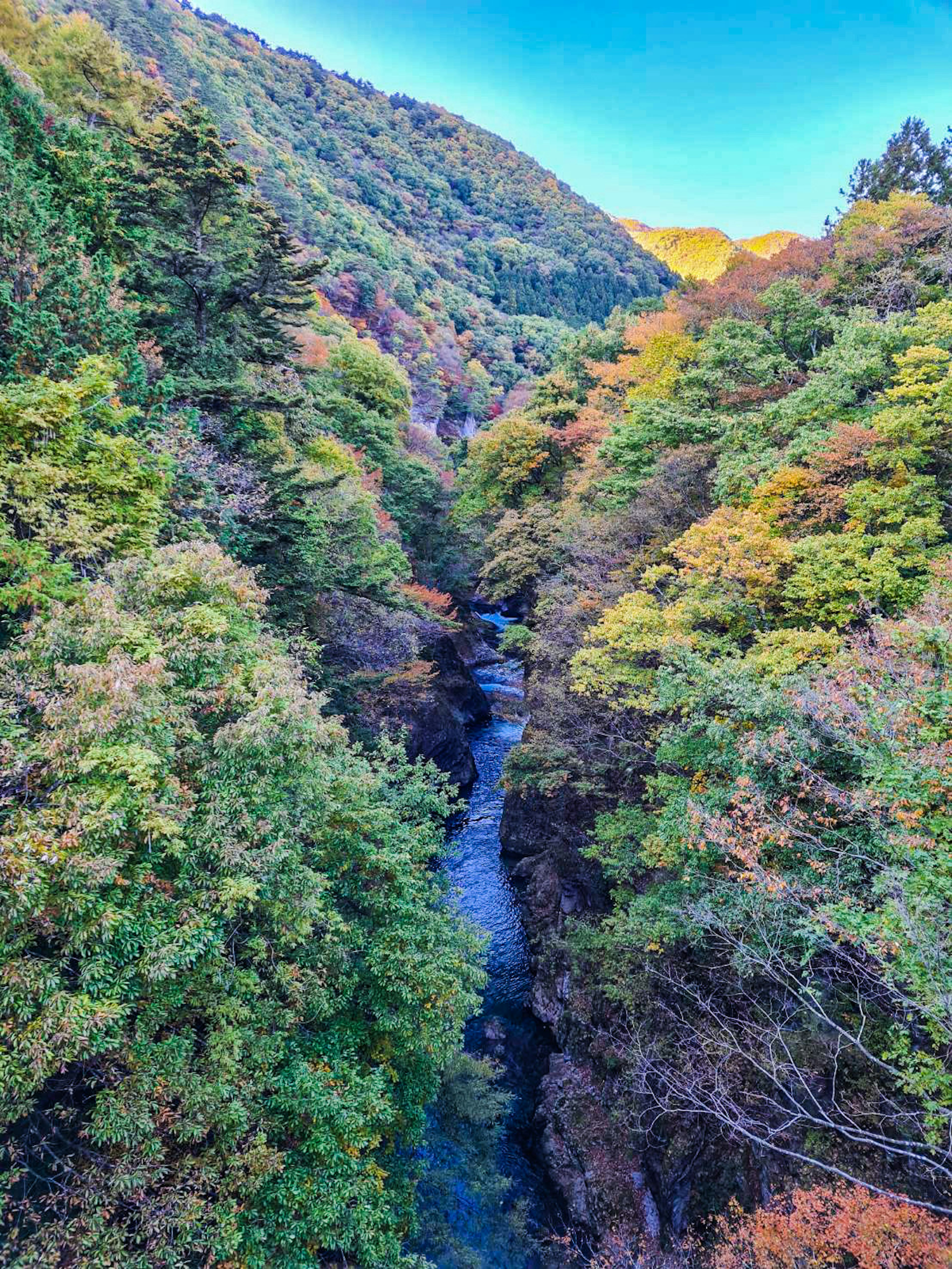 Vista panoramica di un canyon circondato da fogliame autunnale colorato