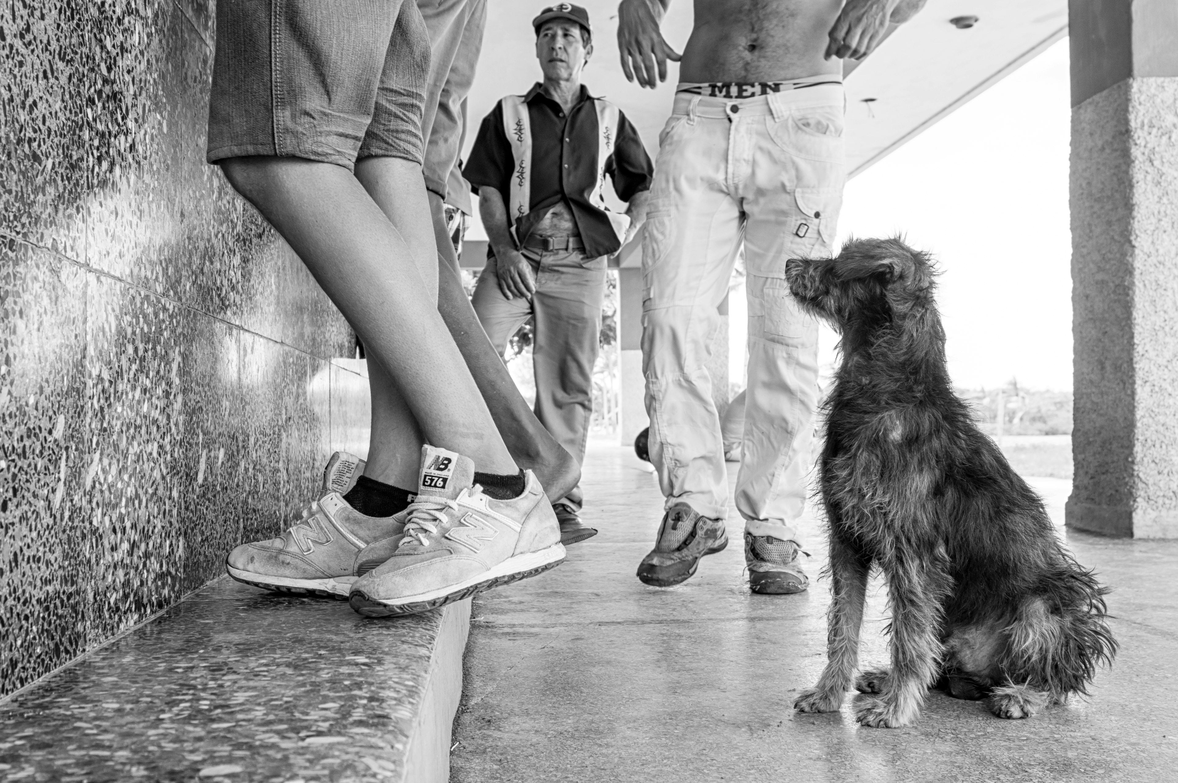 Foto in bianco e nero di giovani appoggiati a un muro con un cane vicino