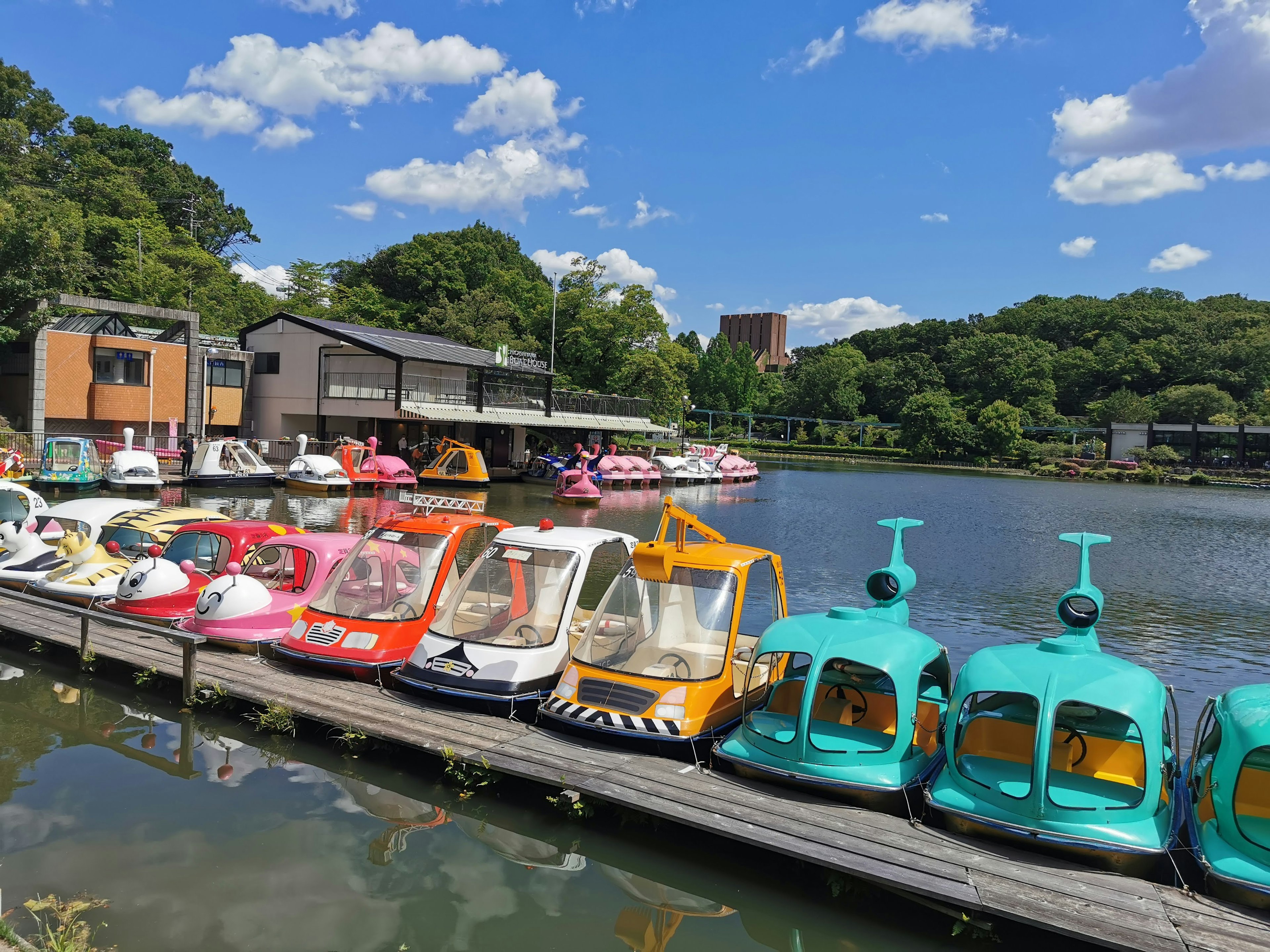 Colorful paddle boats lined up at a lake