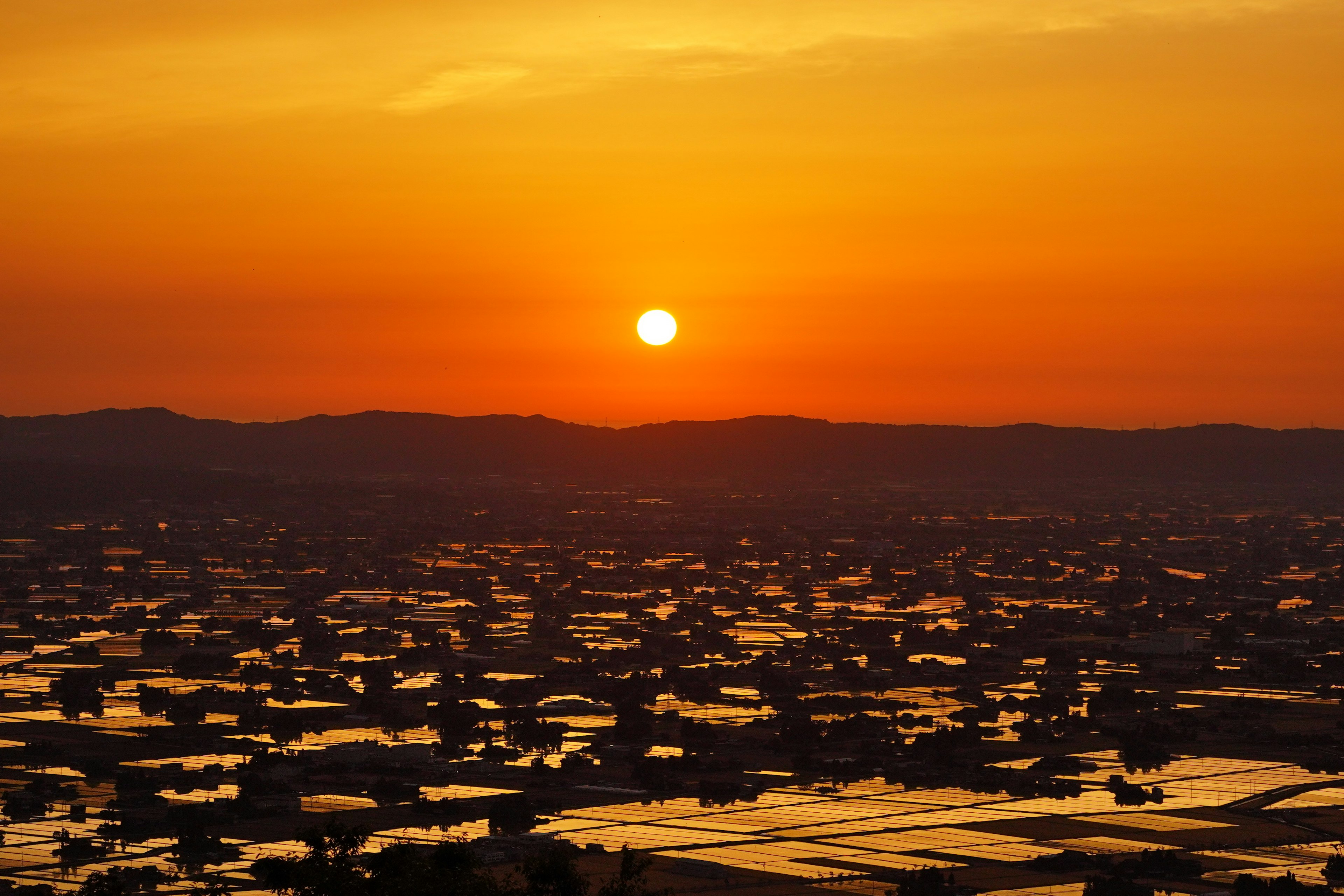 美しい夕日が水田の上に沈んでいく風景