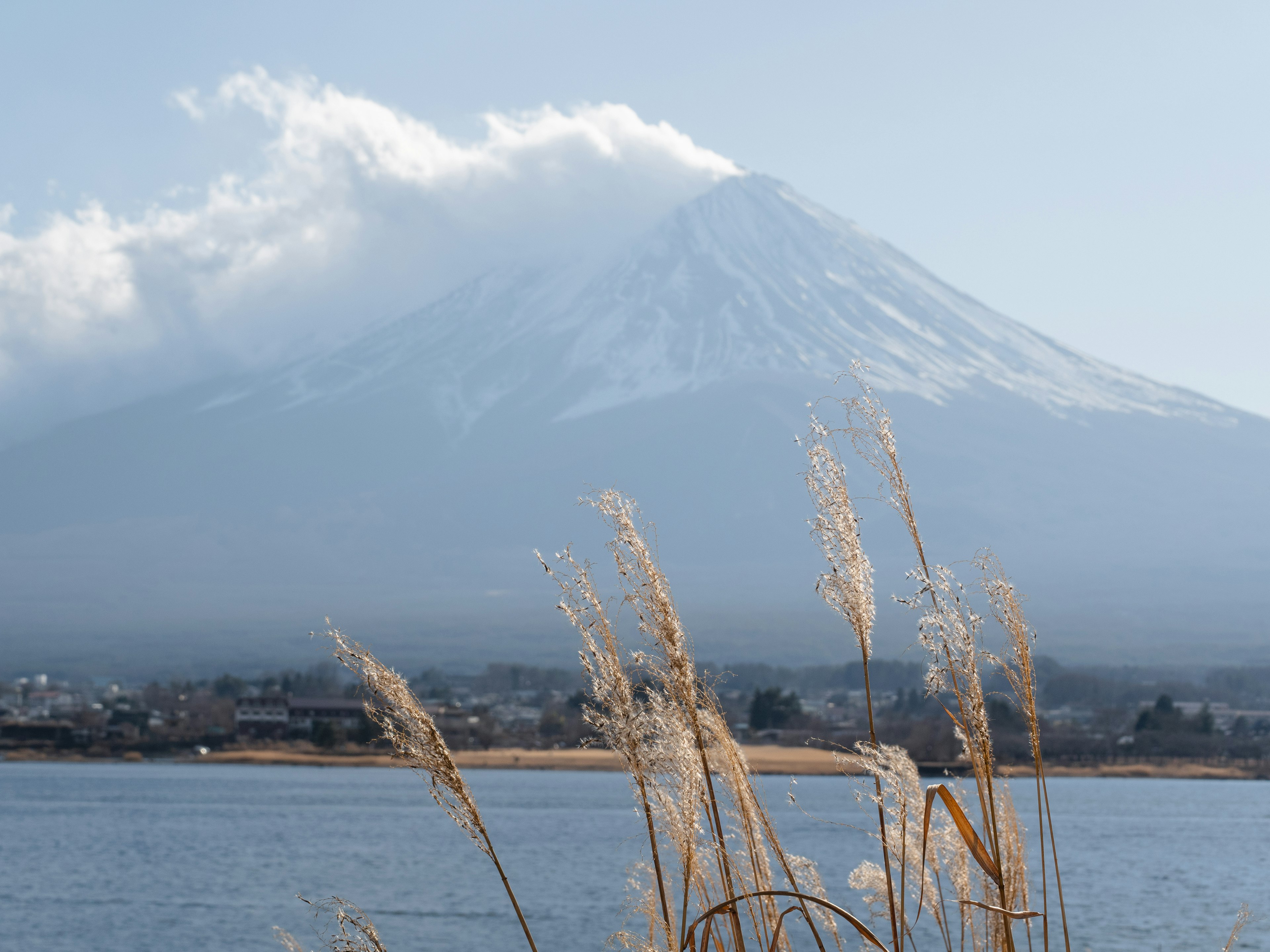 Monte Fuji con erba in primo piano vicino a un lago