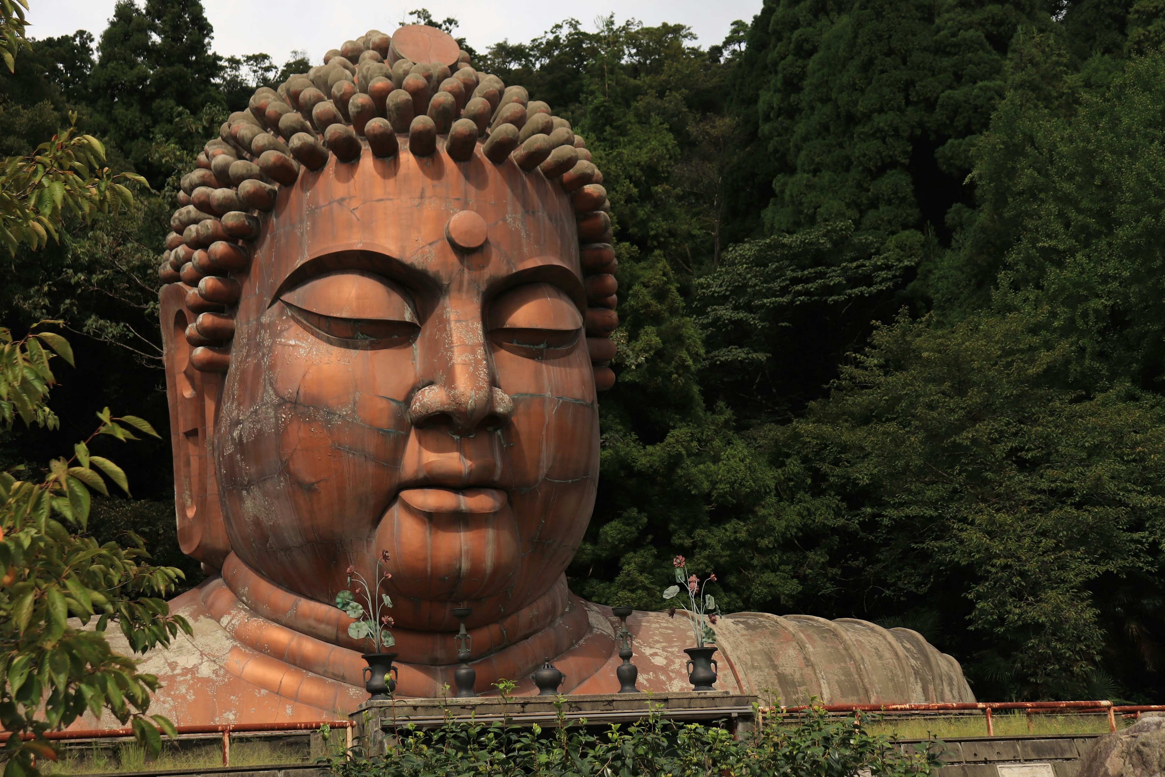 Volto di una grande statua di Buddha circondata da vegetazione lussureggiante