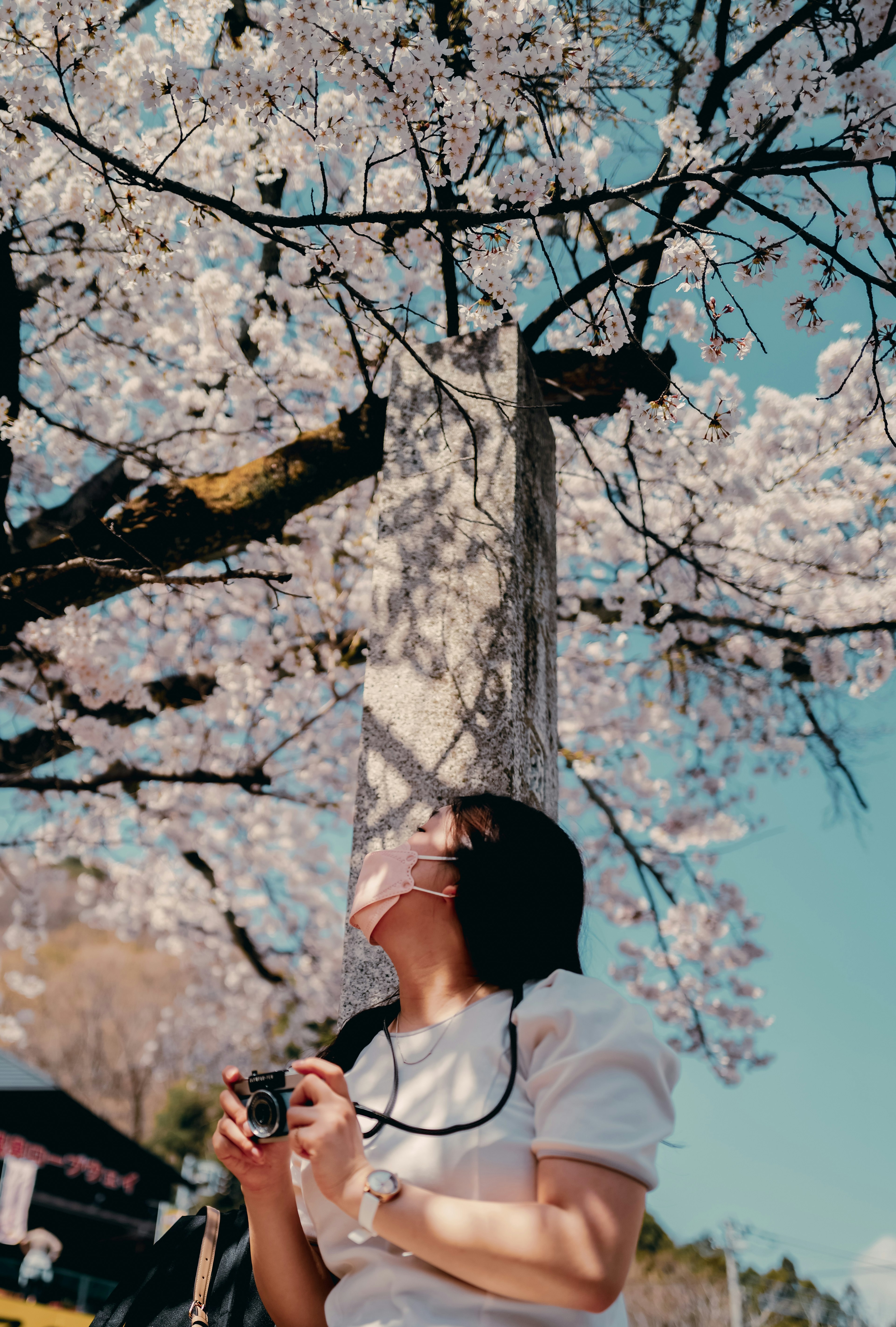 A woman looking up under a cherry blossom tree holding a camera