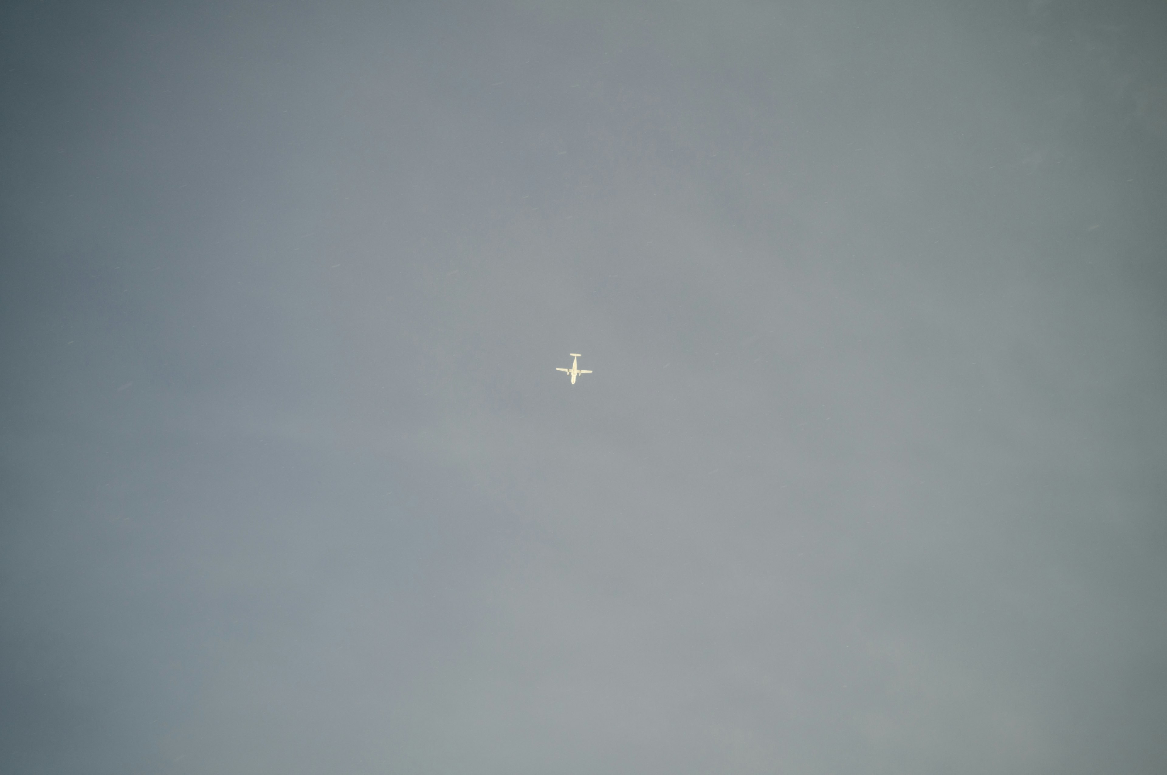 Sebuah pesawat kecil terbang di langit biru