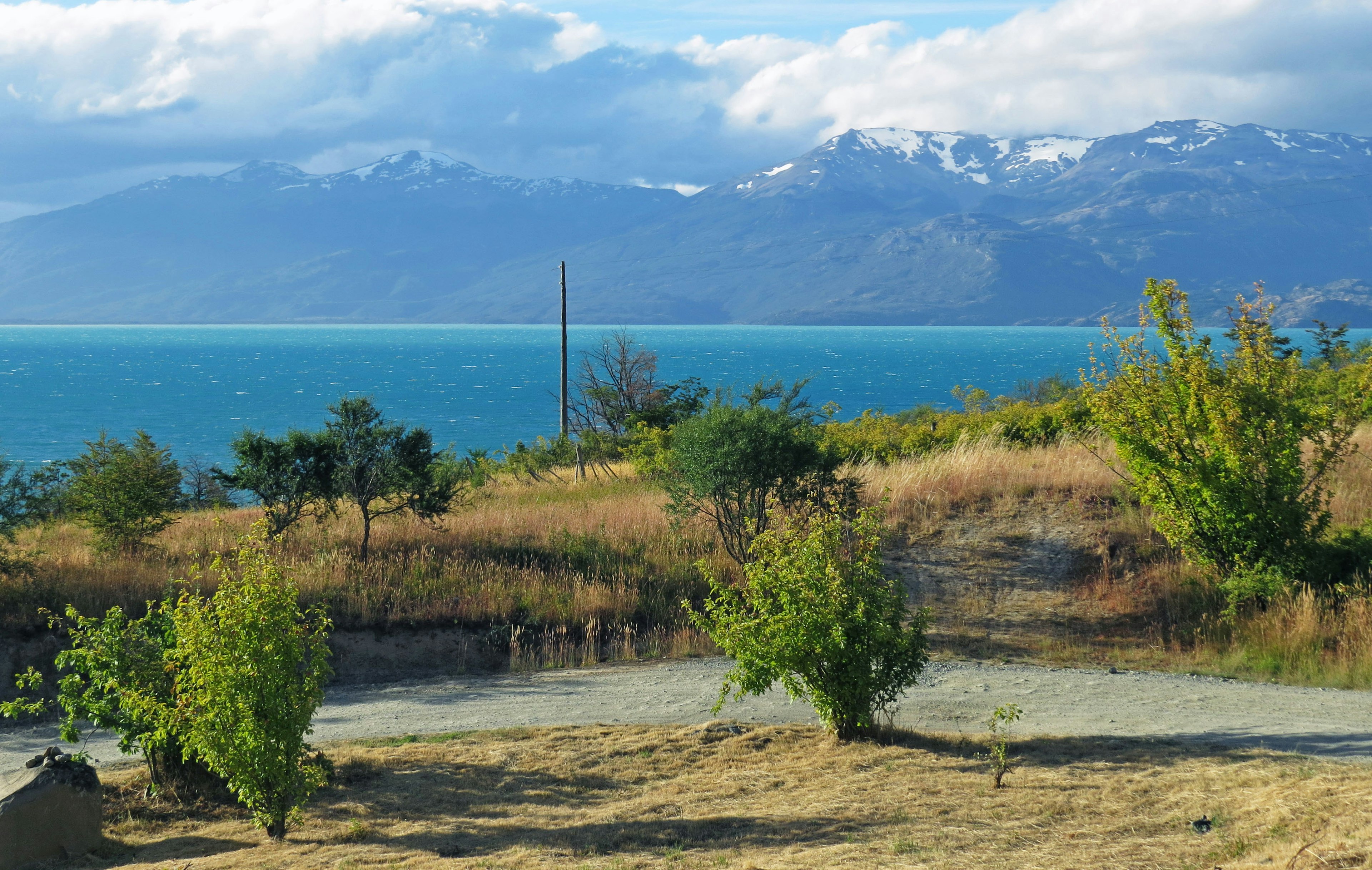 Scenic view of a lake with snow-capped mountains in the background green trees and dry grassland