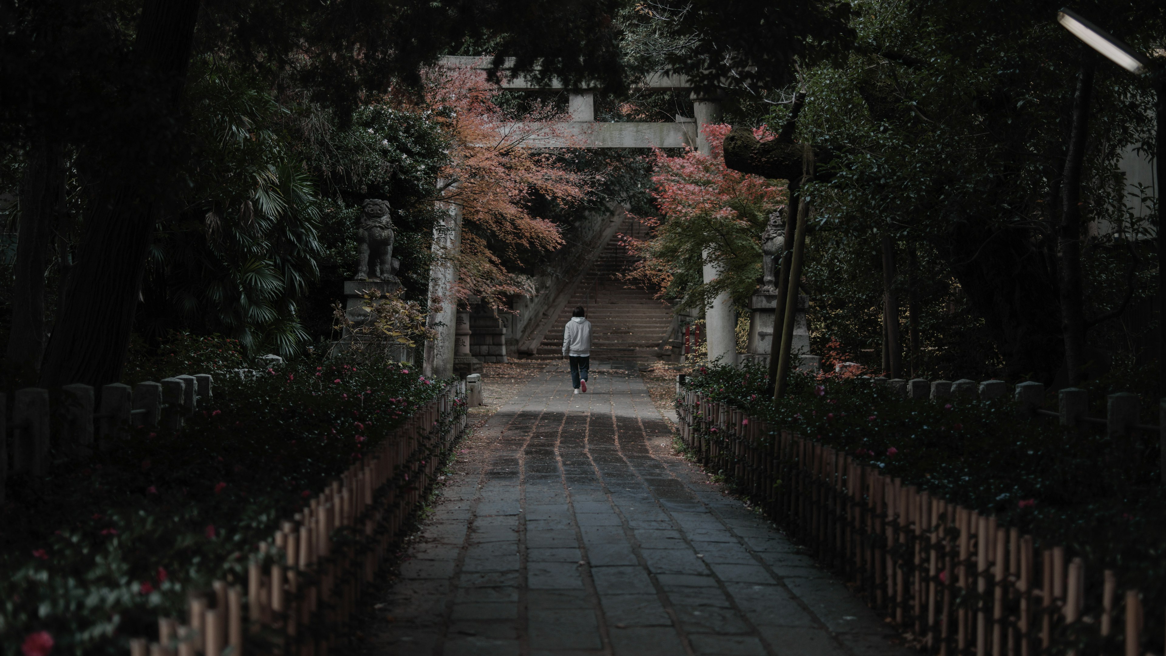 静かな道を歩く人物と紅葉の木々のある公園の風景