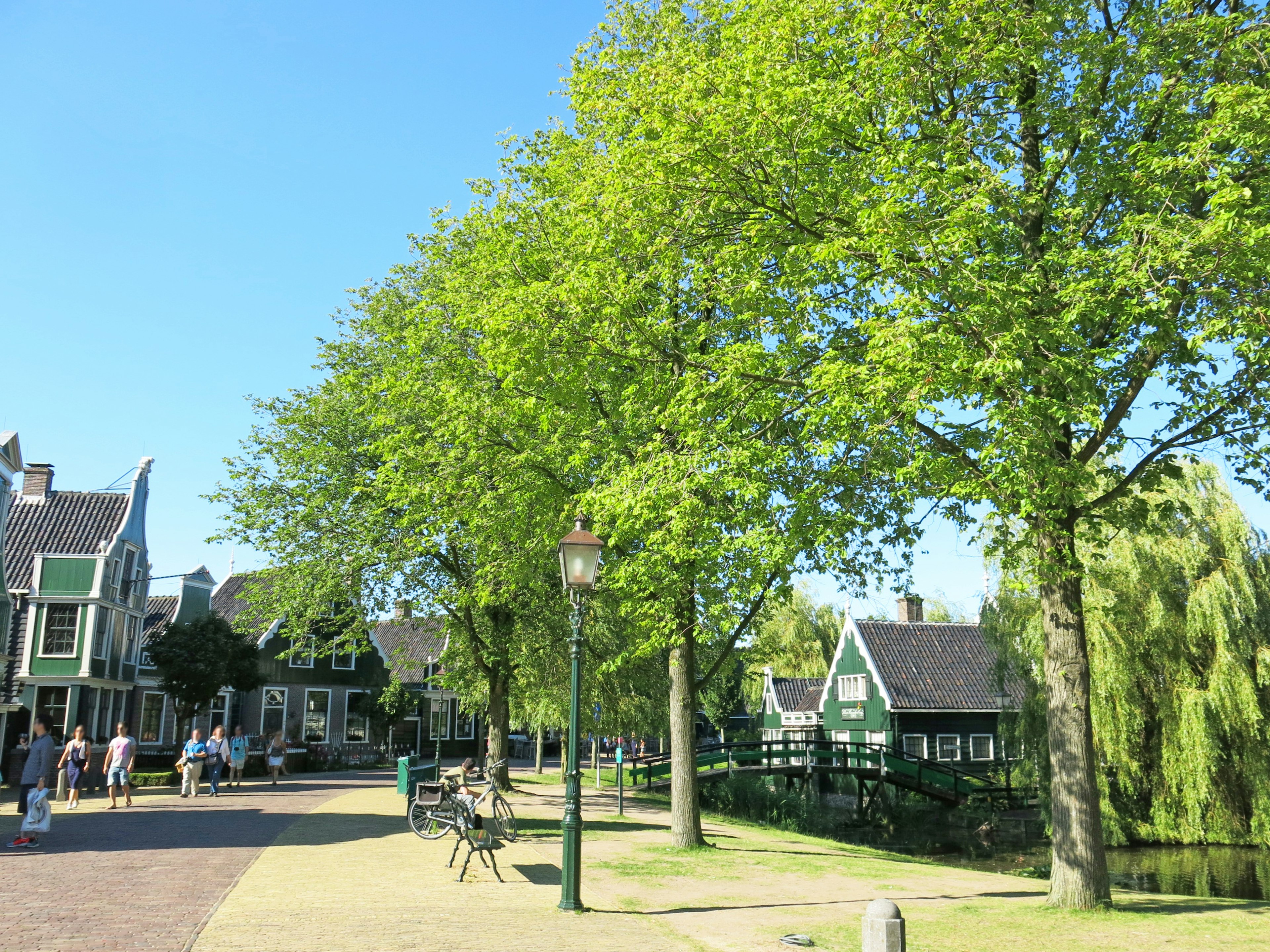 Lush green trees lining a pathway with traditional houses