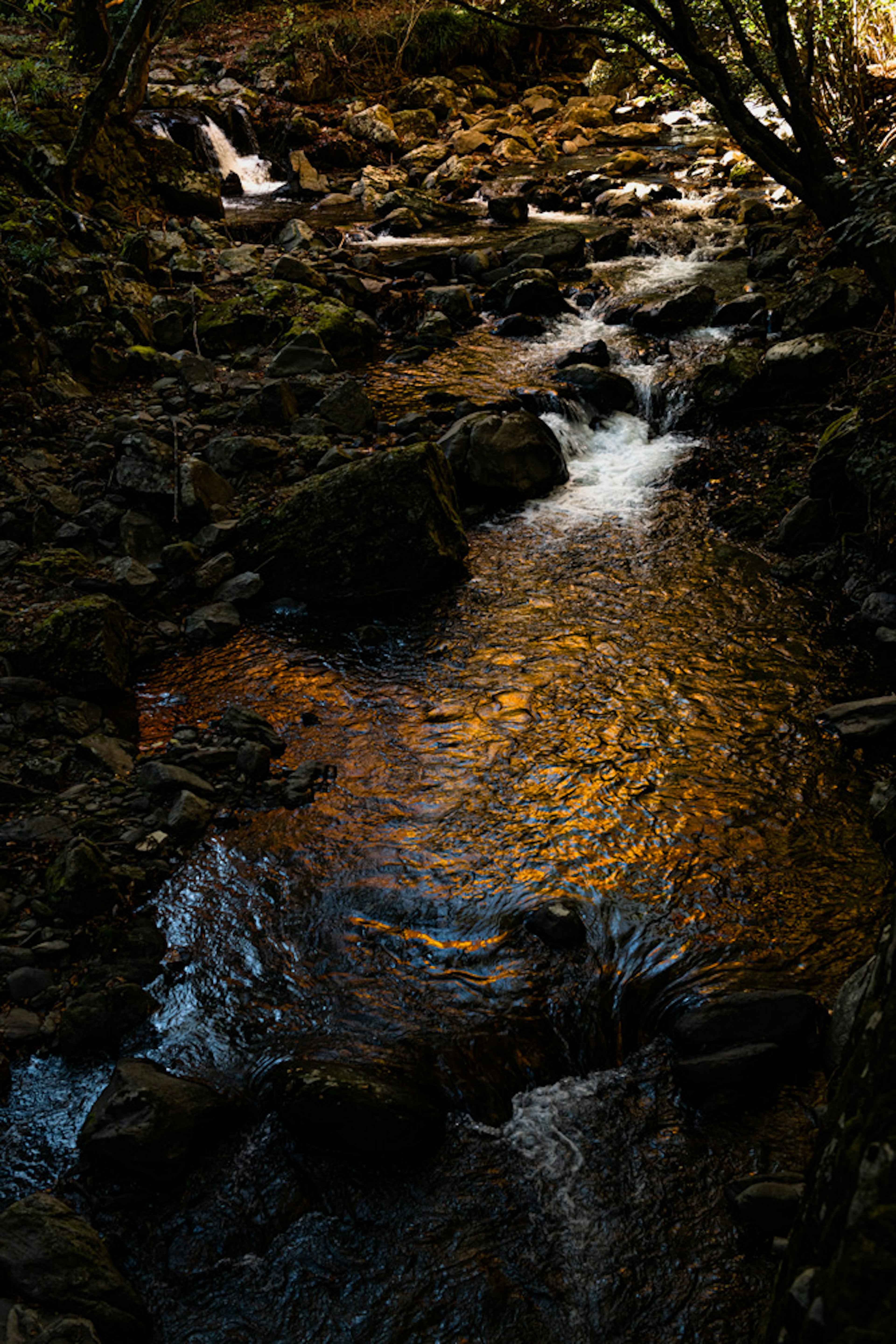 Stream flowing with reflections of orange light