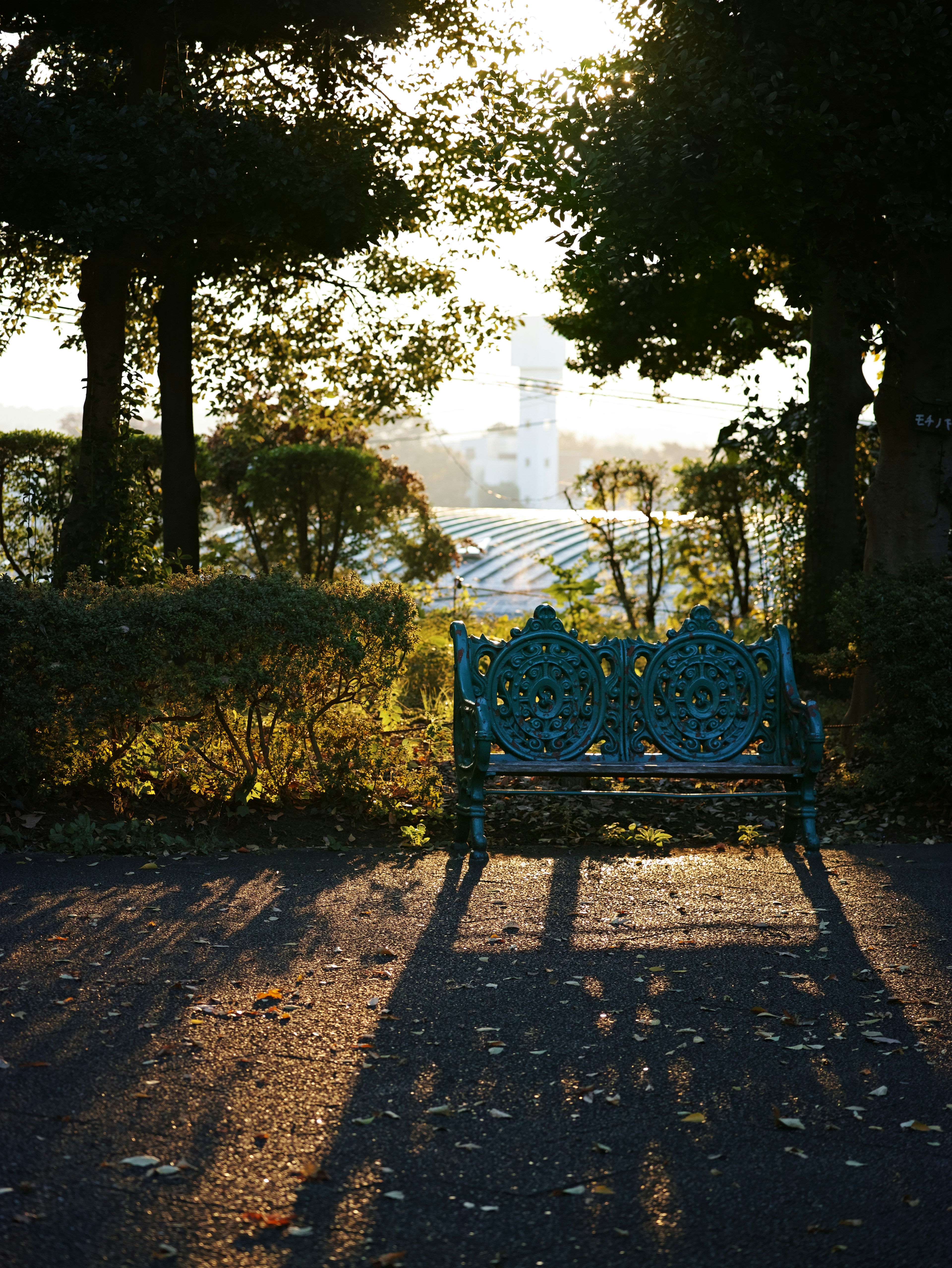 一把沐浴在夕陽下的藍色公園長椅