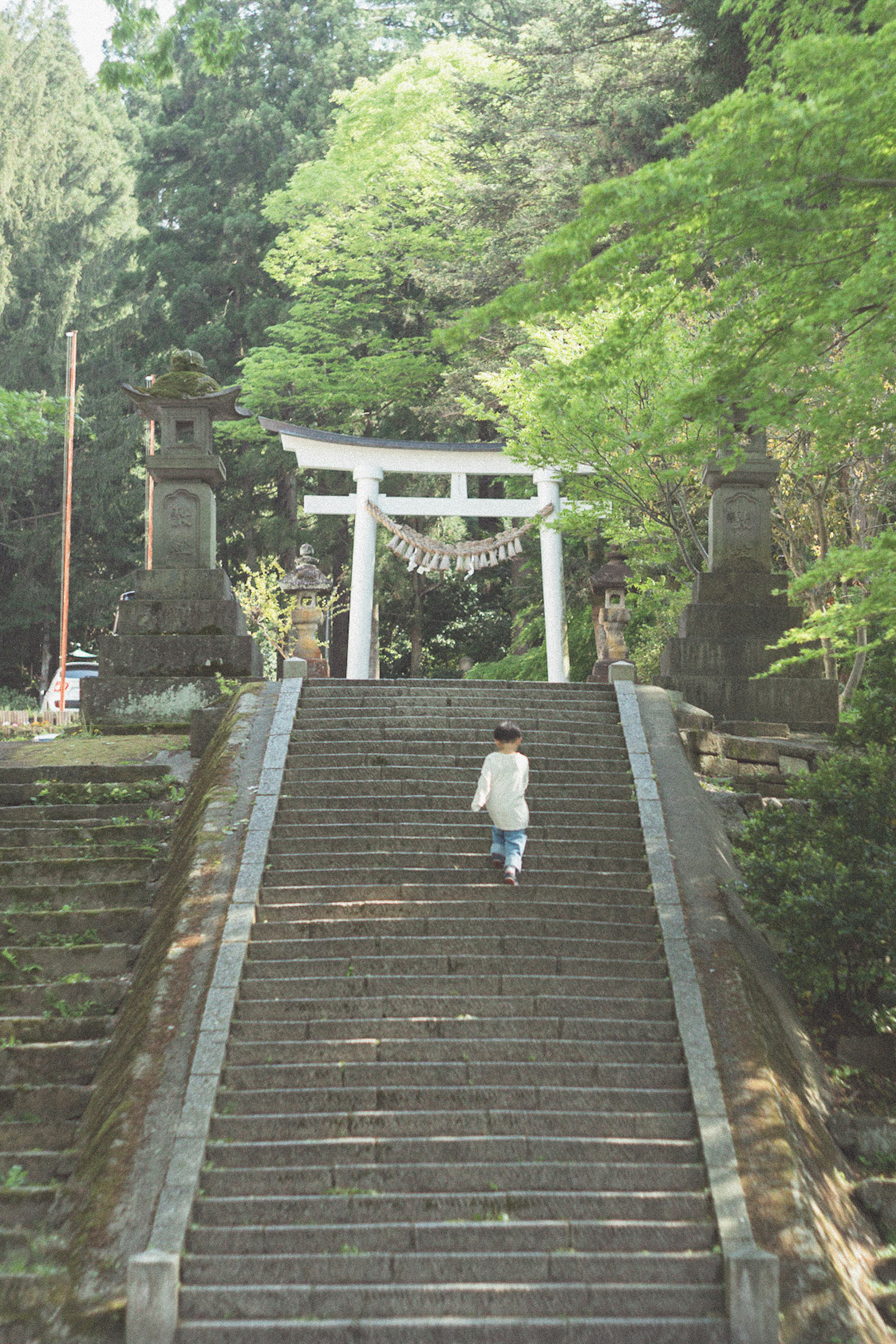 緑豊かな環境にある神社の鳥居と石段を上る人