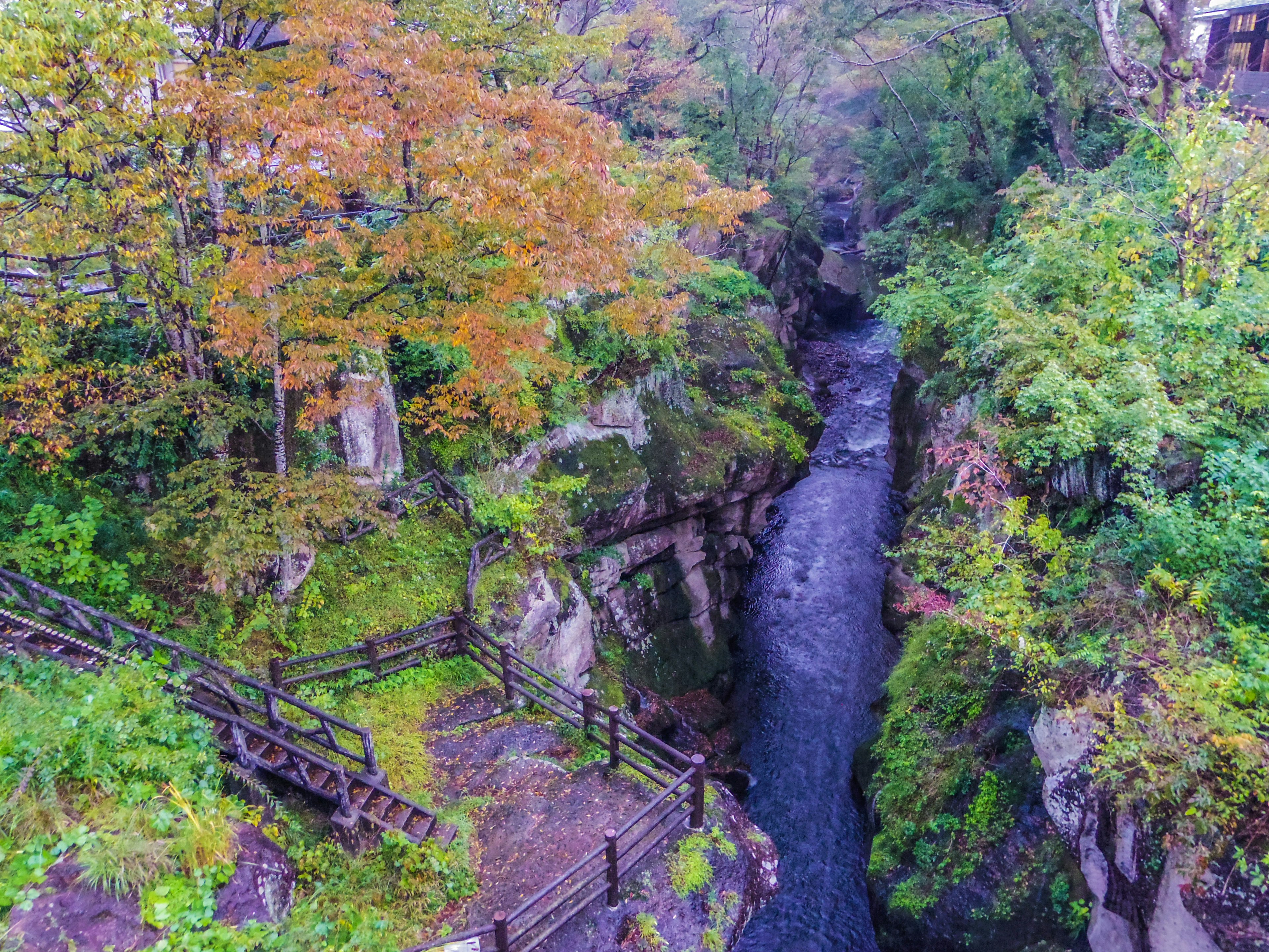 A scenic view of a stream surrounded by green and orange trees