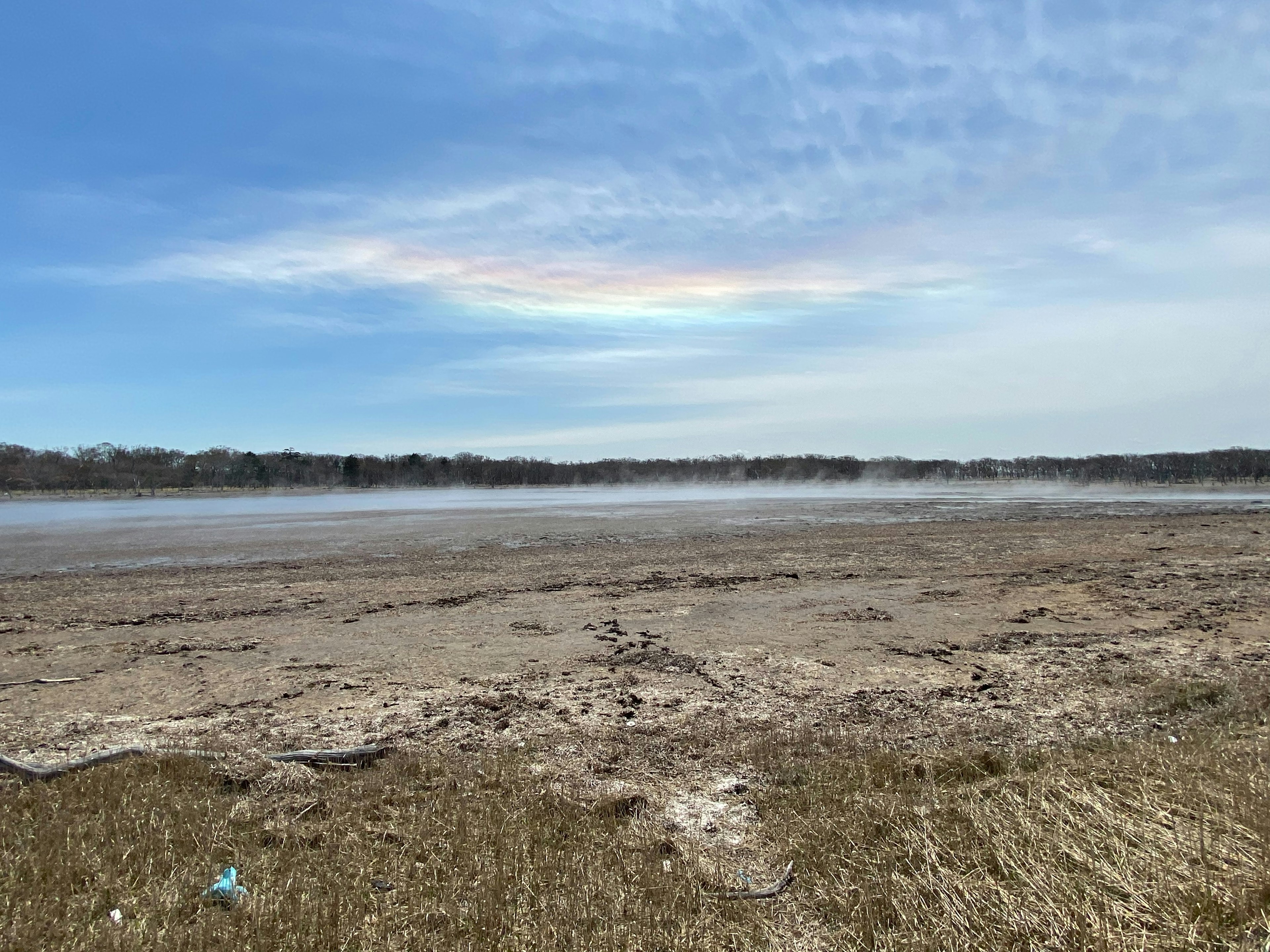 Paisaje de un lodo bajo un cielo azul con una nube parecida a un arcoíris