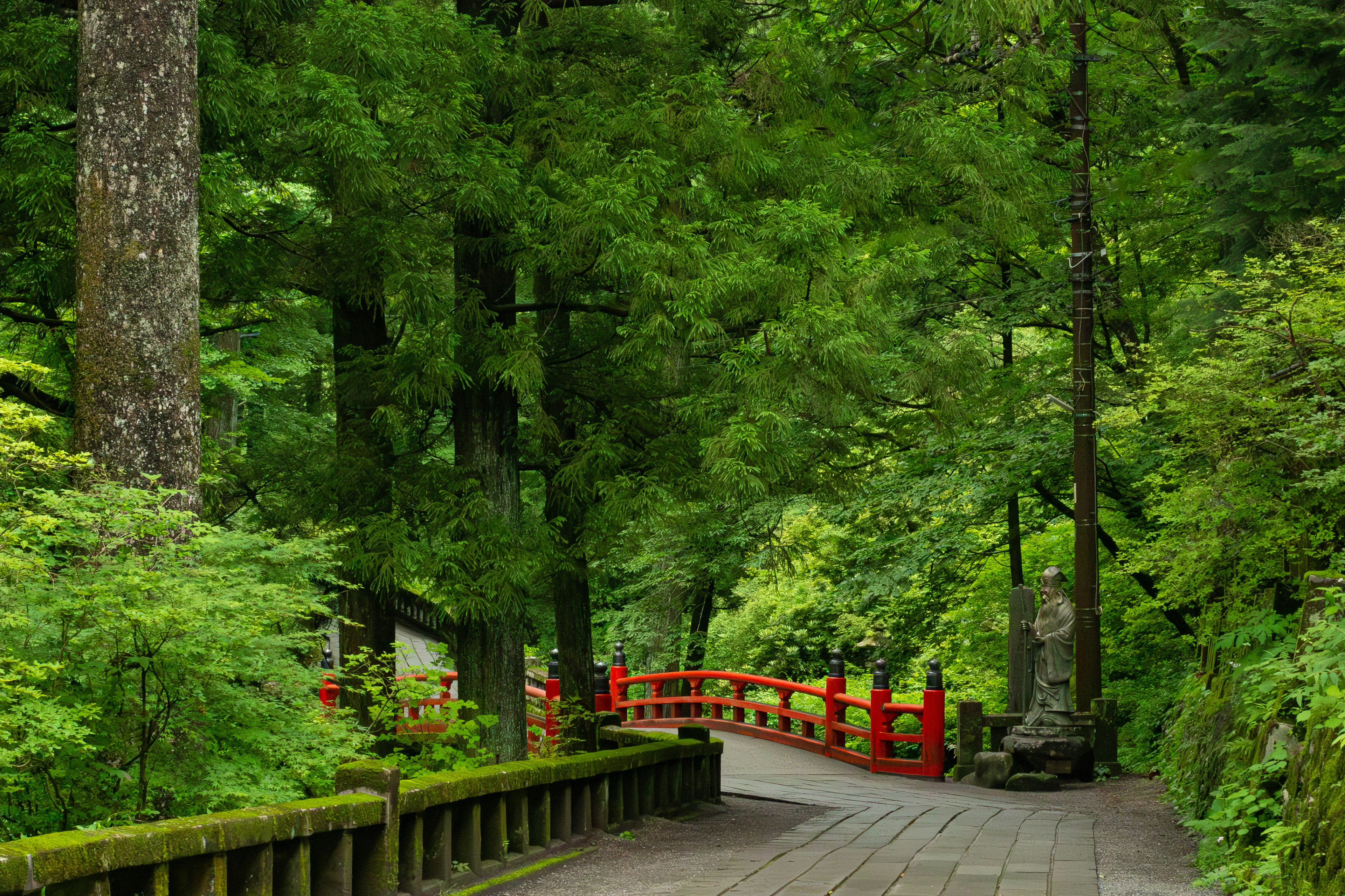 A red bridge in a lush green forest with a paved path