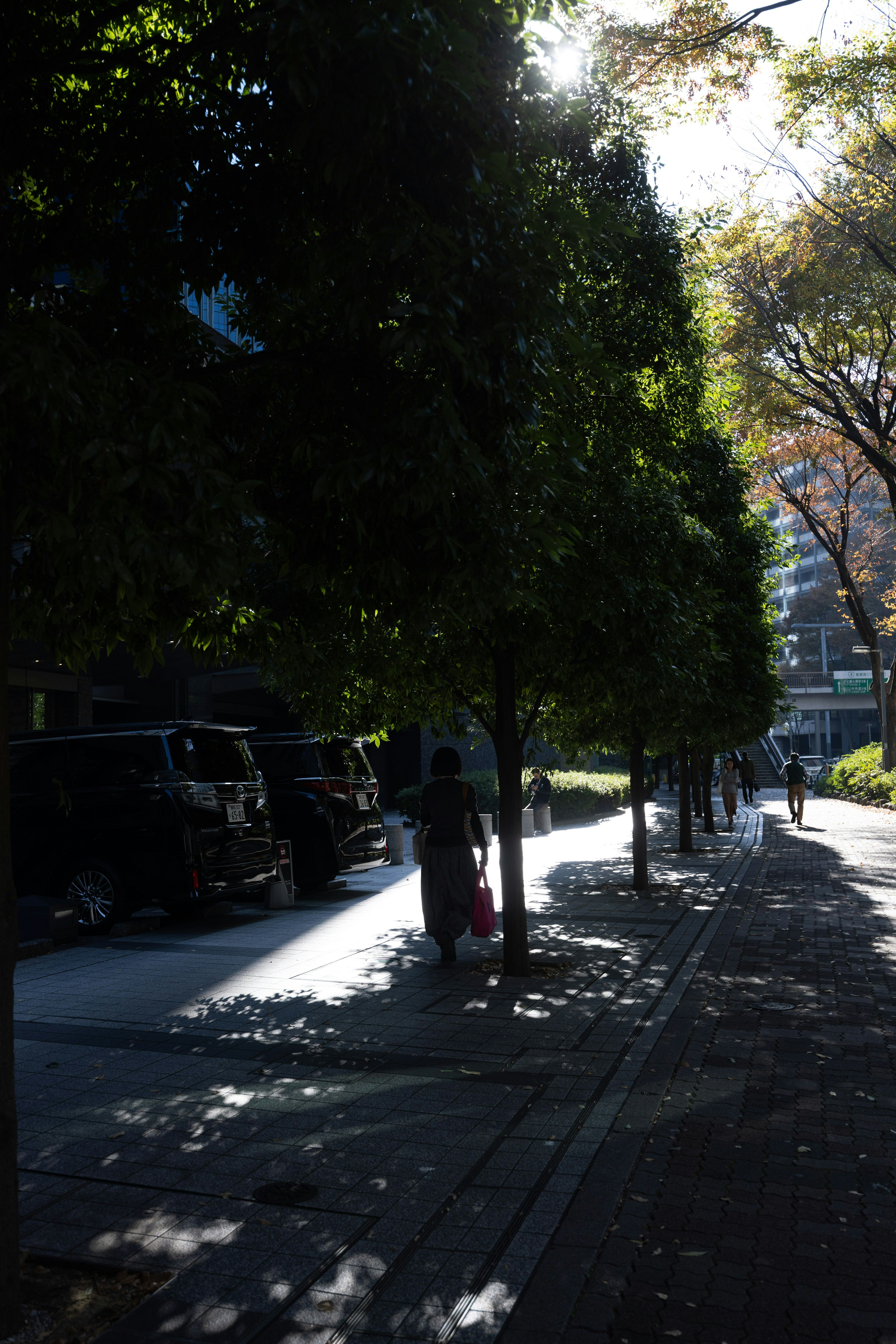 Una calle tranquila bordeada de árboles y personas caminando