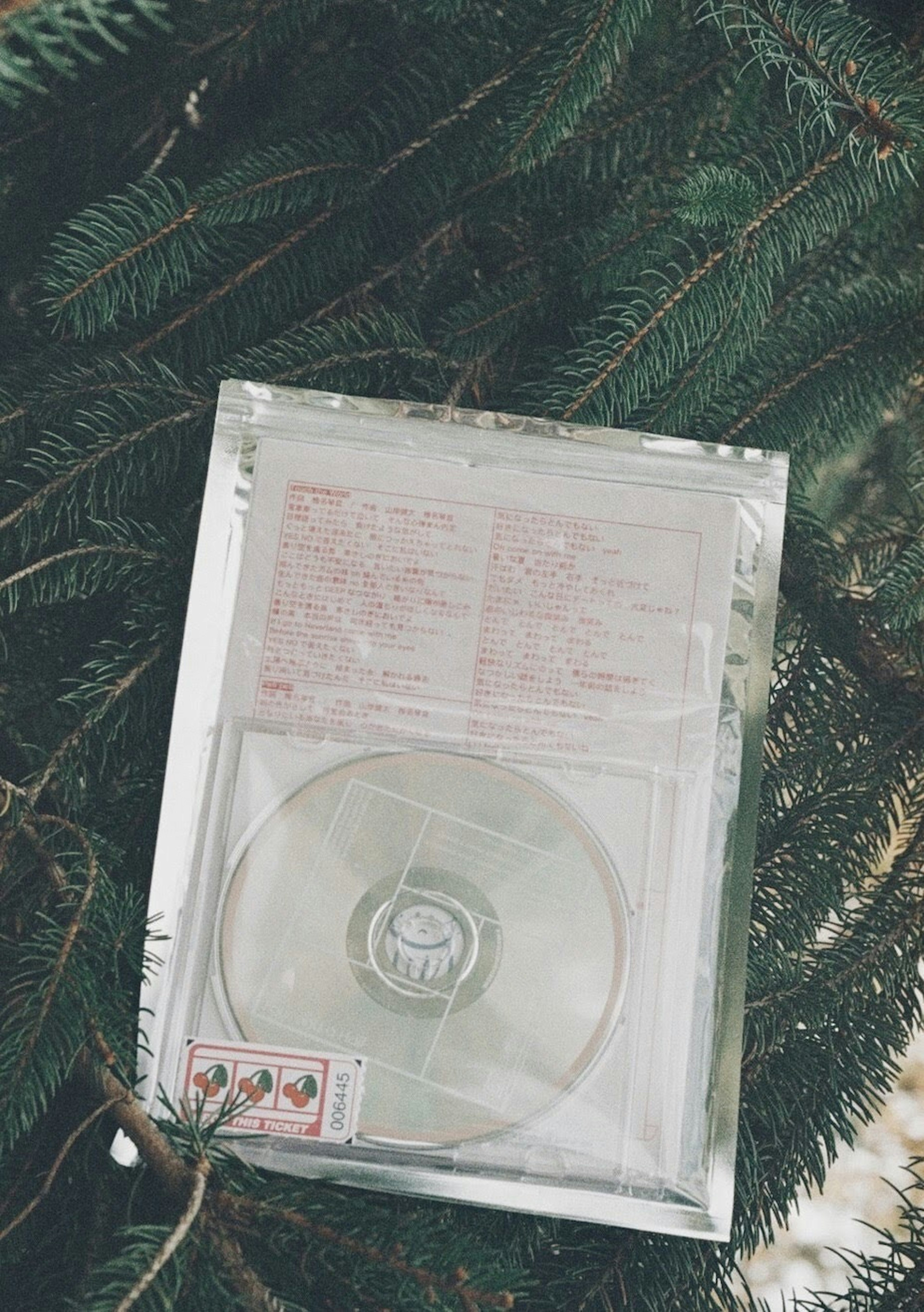 CD case and disc placed on green pine needles