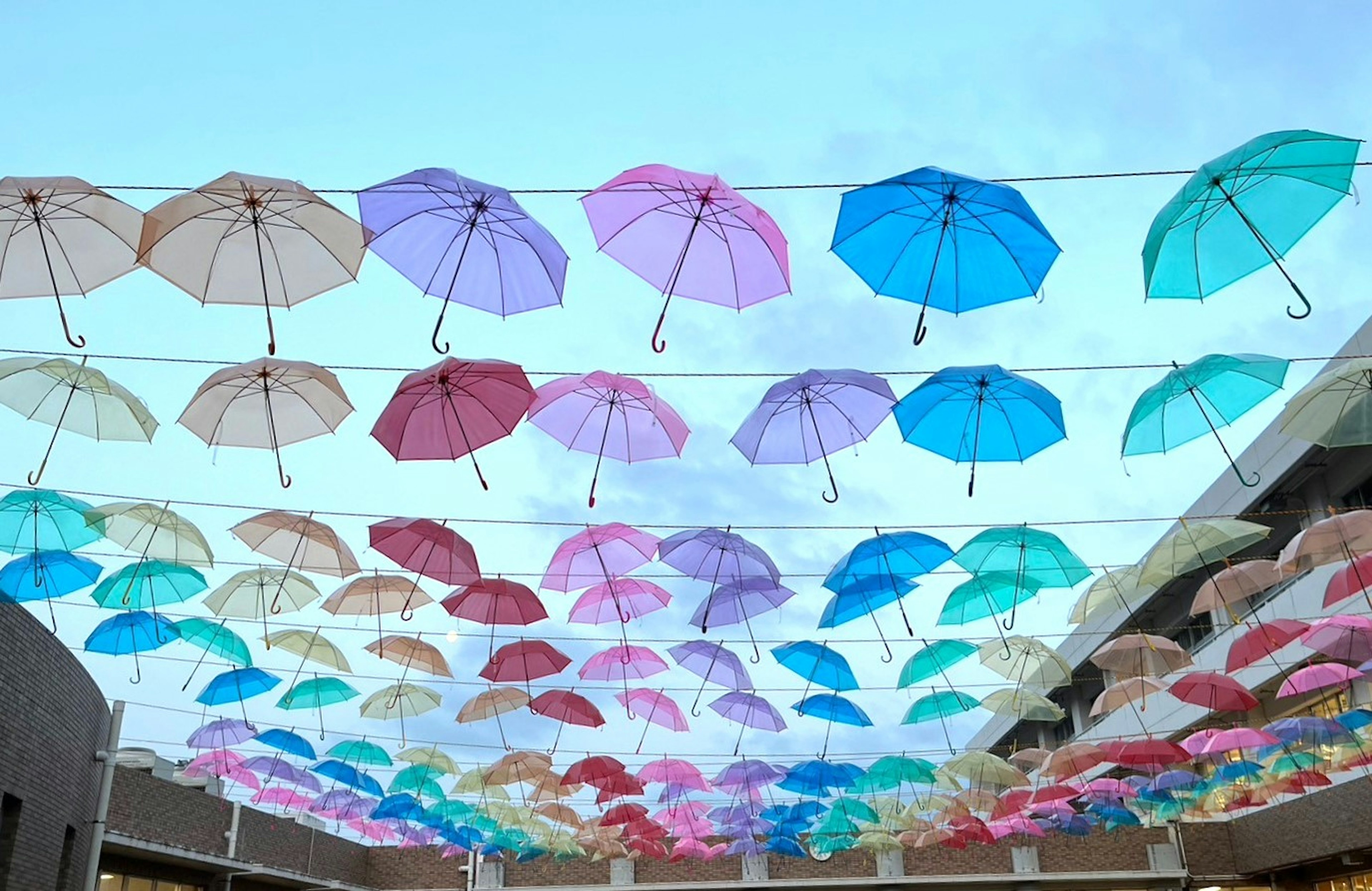 Bunte Regenschirme hängen am Himmel als Kunstinstallation