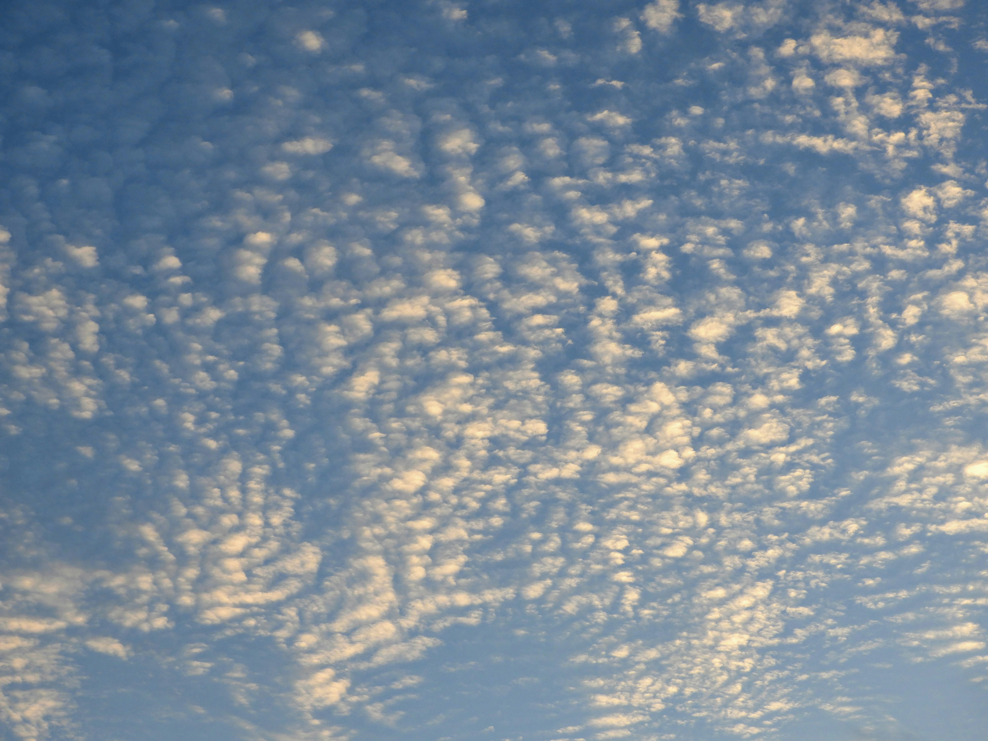 Pattern of white clouds in a blue sky