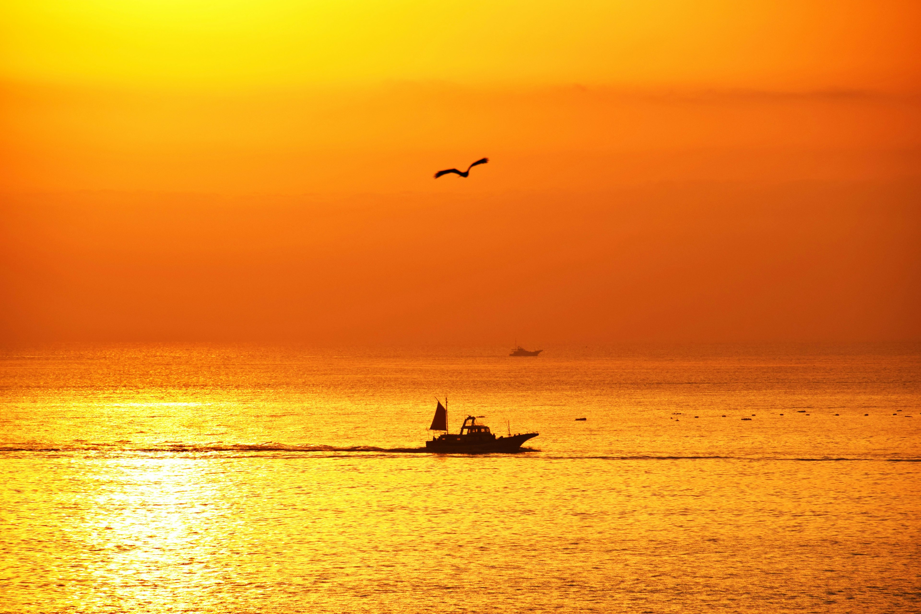 Un petit bateau sur une mer au coucher du soleil avec un oiseau volant au-dessus