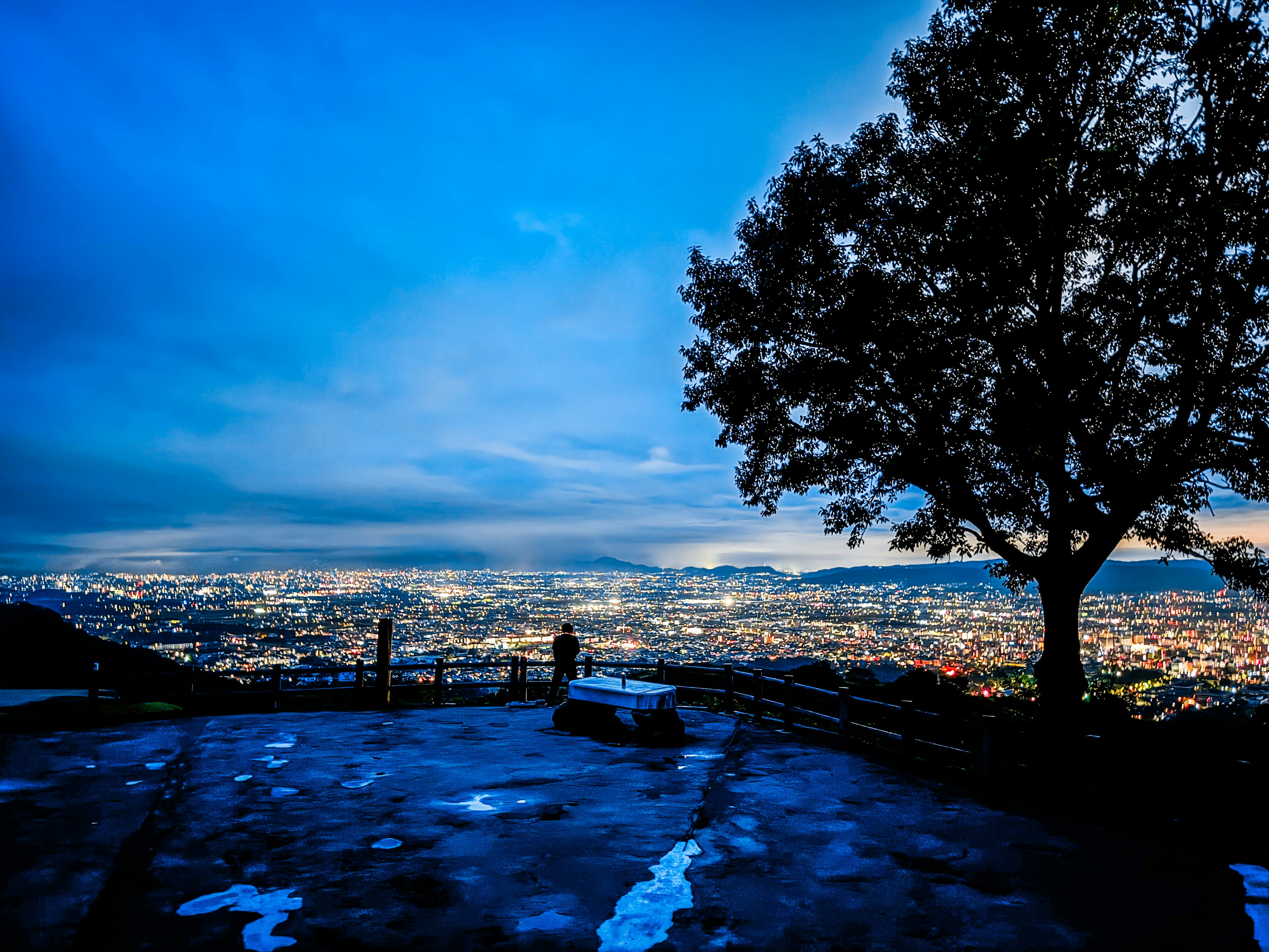 青い空と街の夜景を背景に立つ木と人々のシルエット