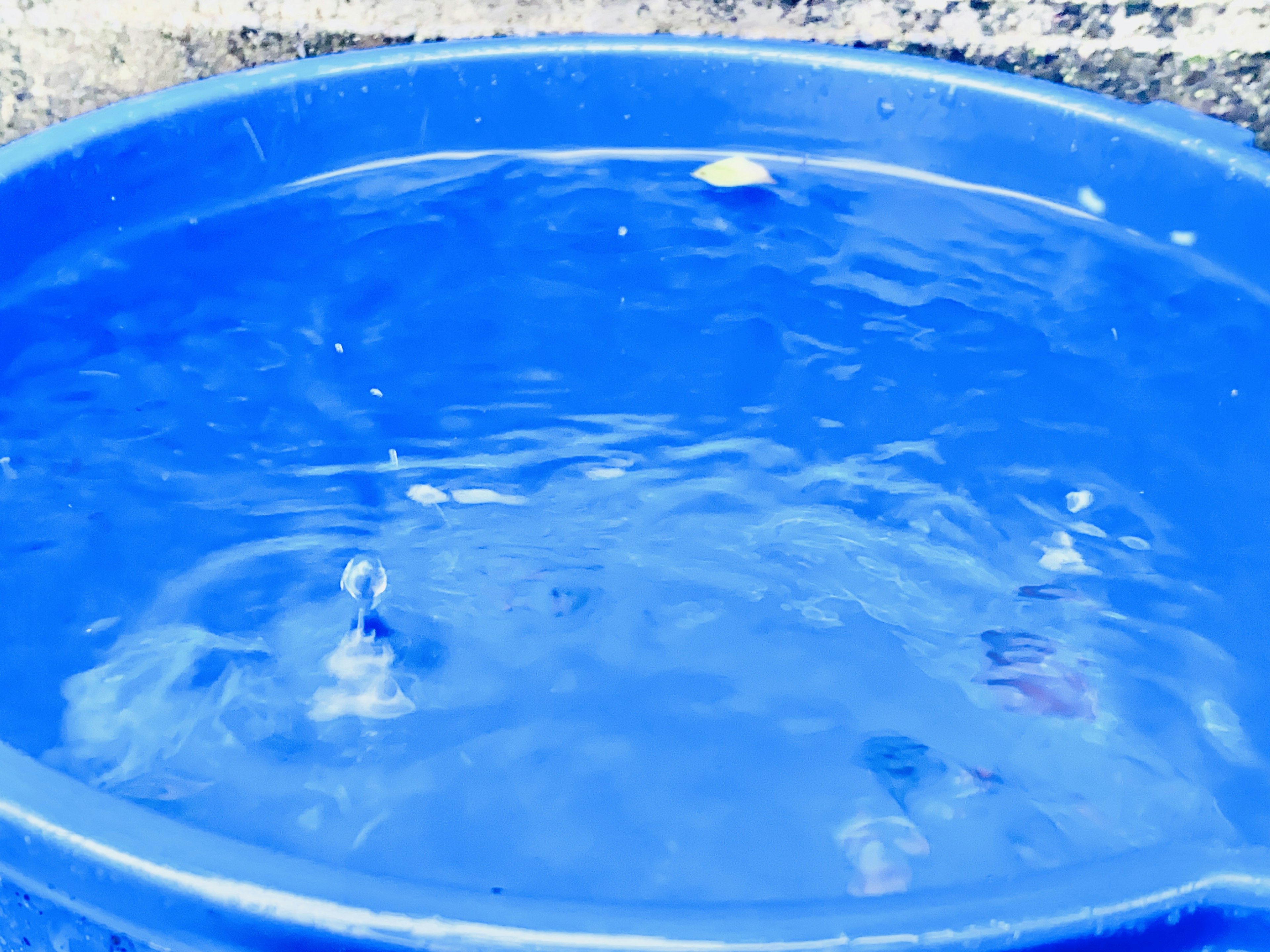 Imagen de un balde azul lleno de agua con ondas en la superficie