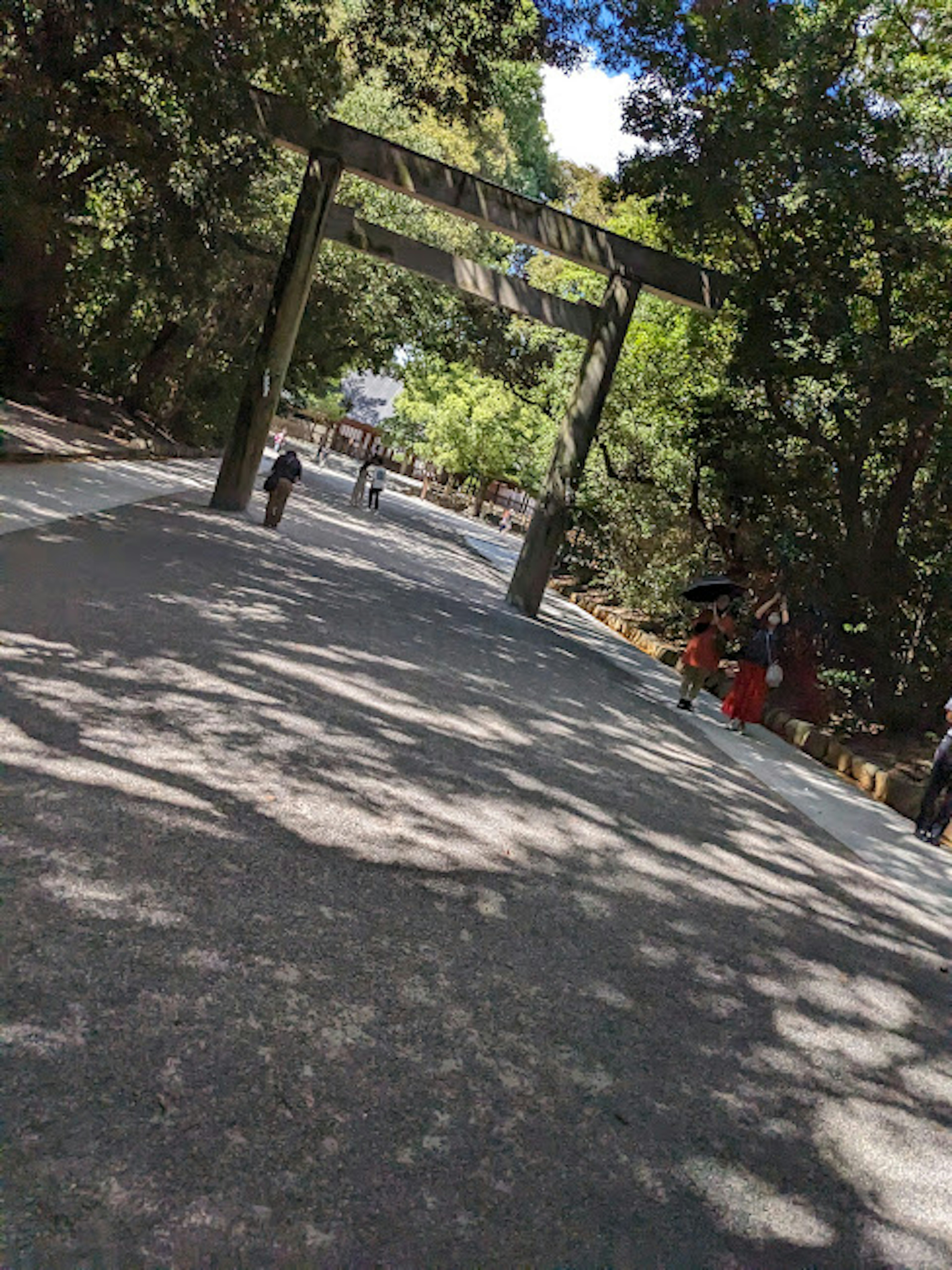 Ein Weg, umgeben von üppigen Bäumen, mit einem Torii im Hintergrund