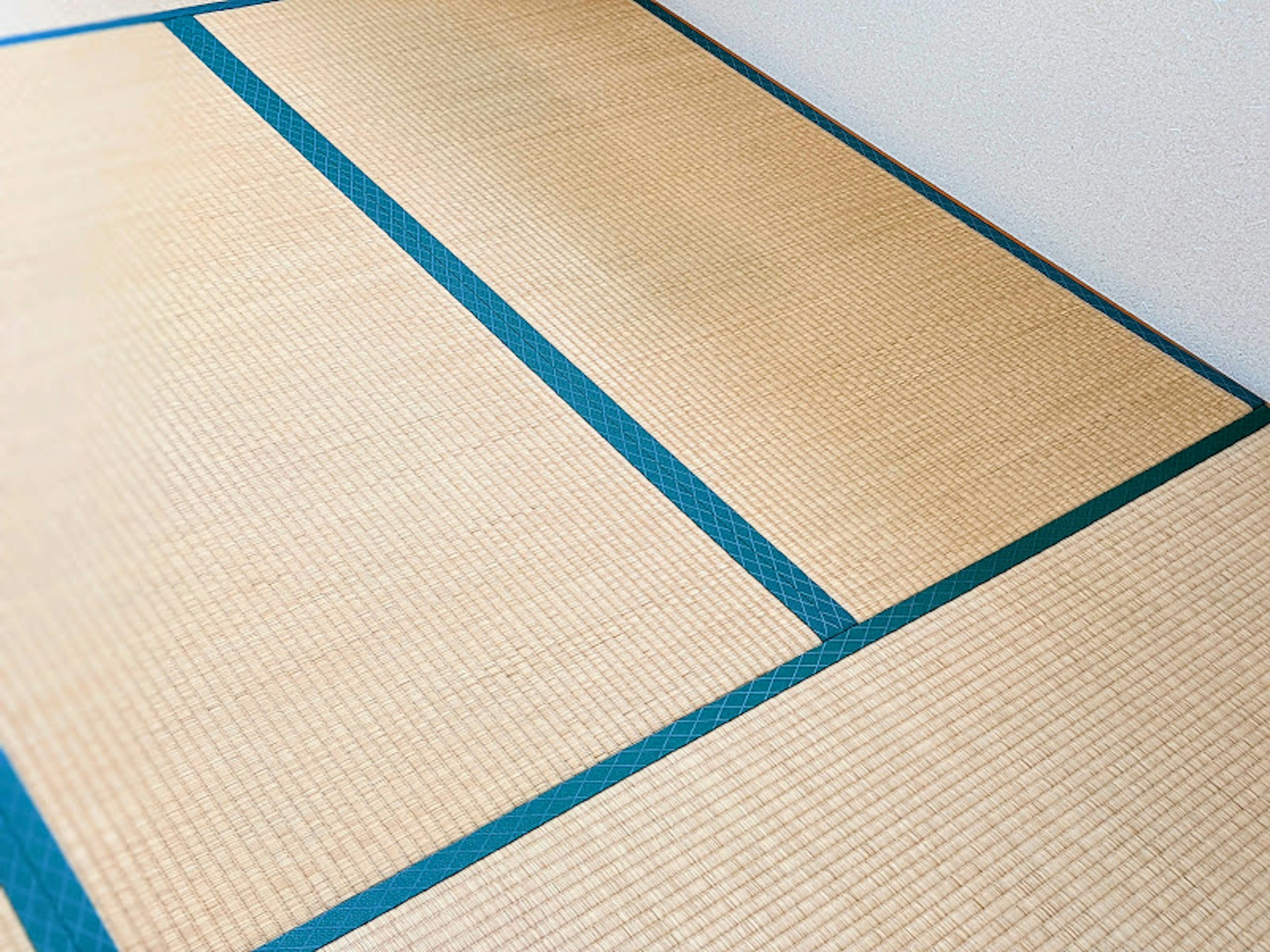 Primo piano di un pavimento in tatami con bordi blu