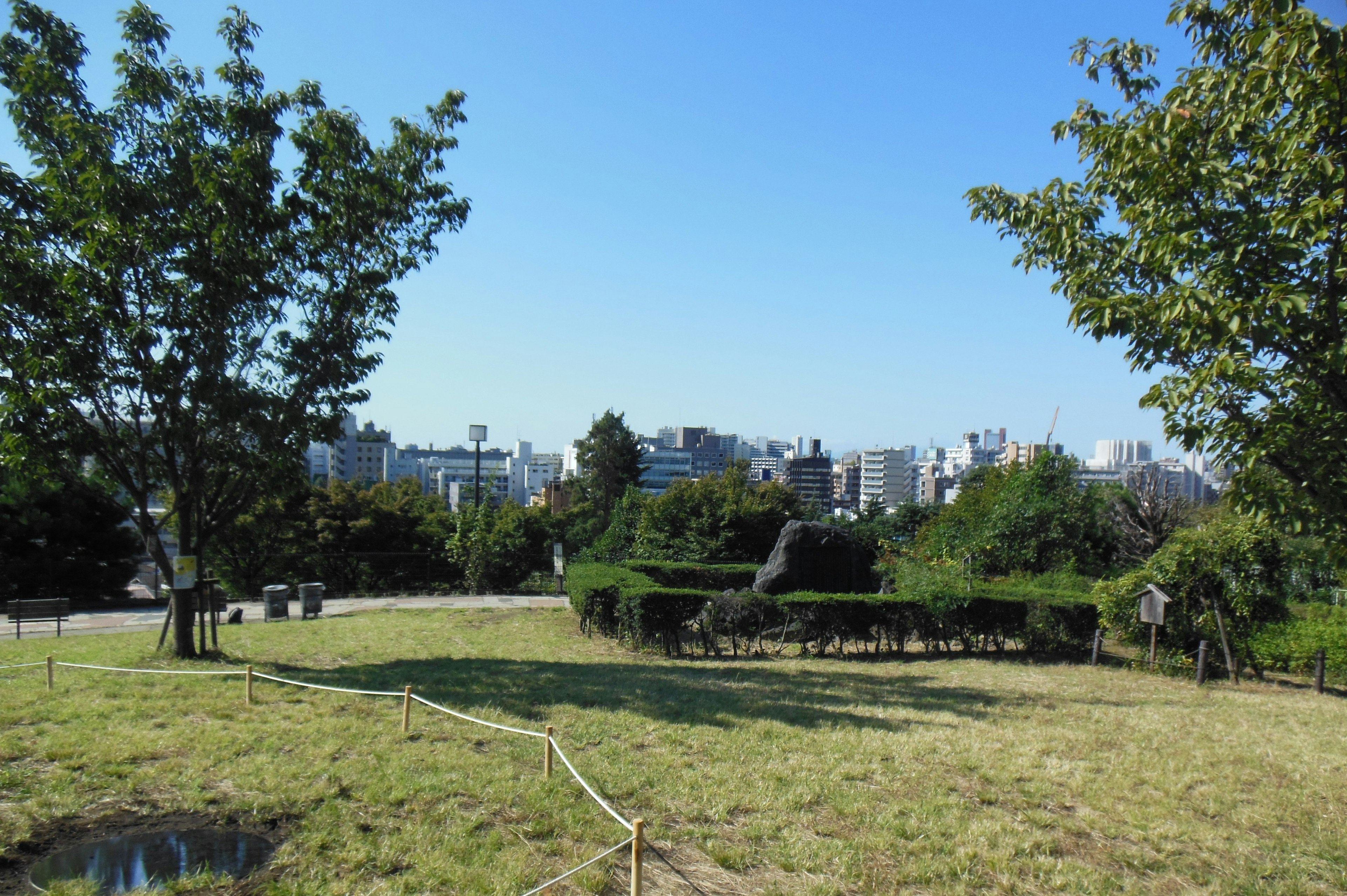 Paisaje de parque bajo un cielo azul con el horizonte urbano de fondo