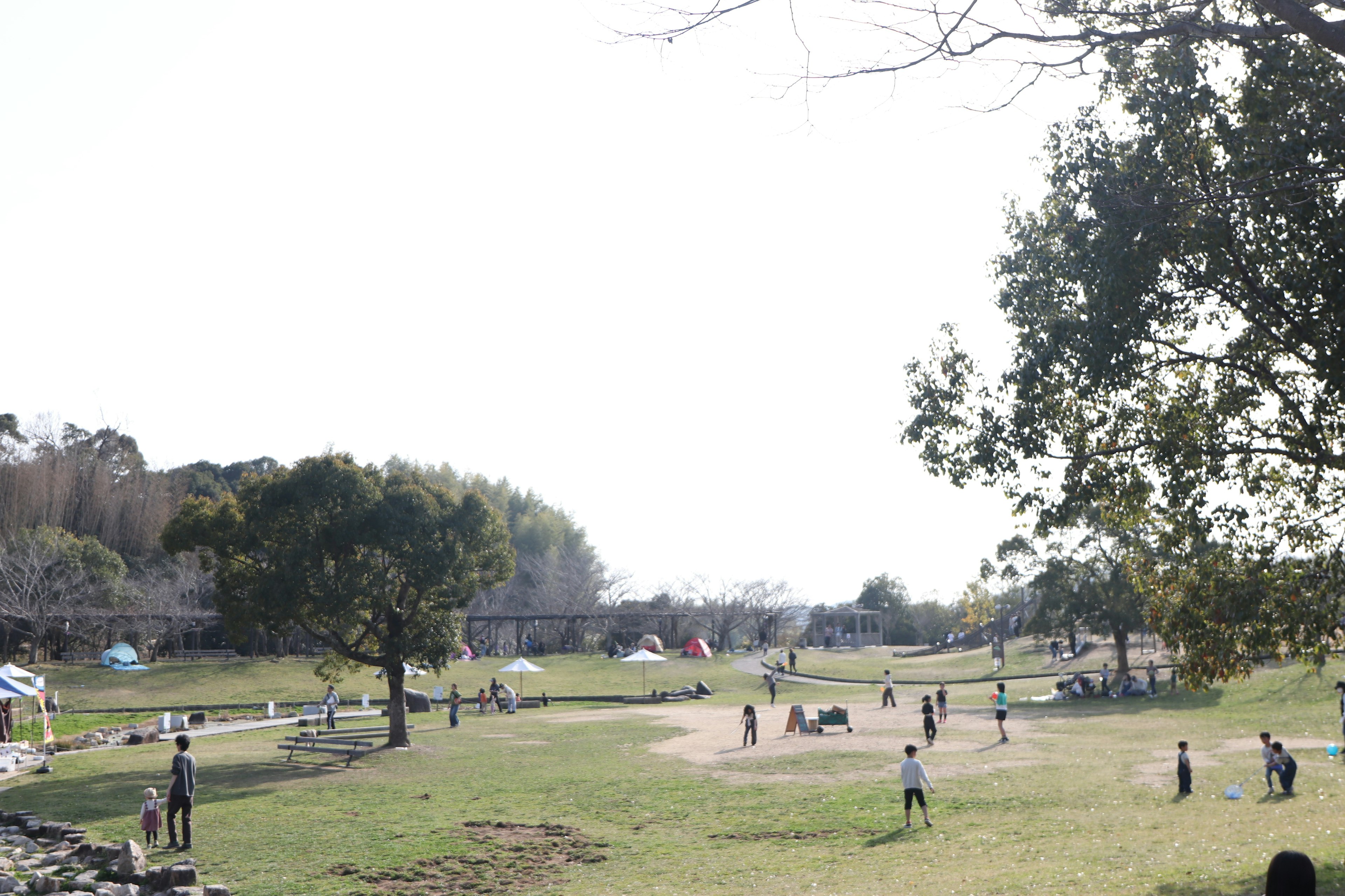 Weite Parkszene mit spielenden Menschen und Bäumen