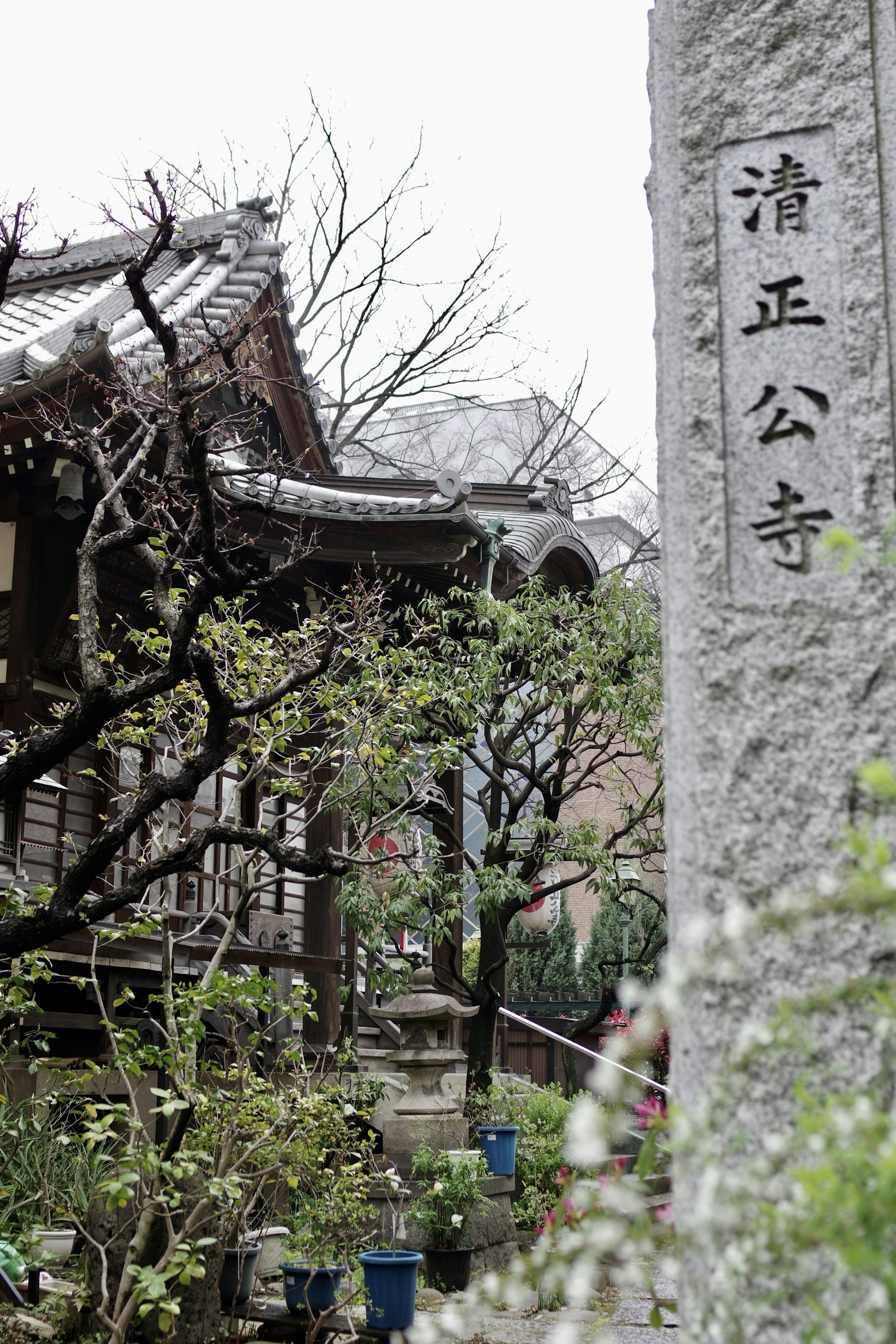 Cảnh nhìn về chùa Kiyomizudera với cấu trúc cổ và bia đá xung quanh là cây cối