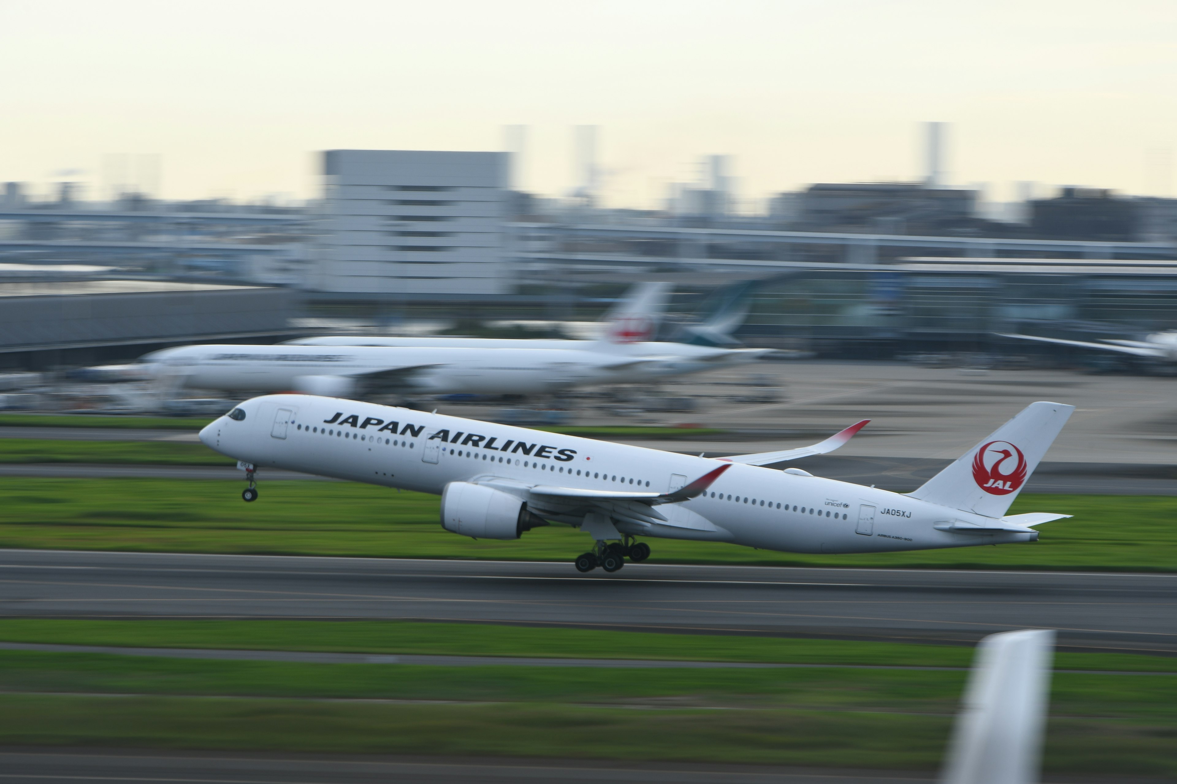 Aereo Japan Airlines in decollo in un aeroporto con sfondo sfocato