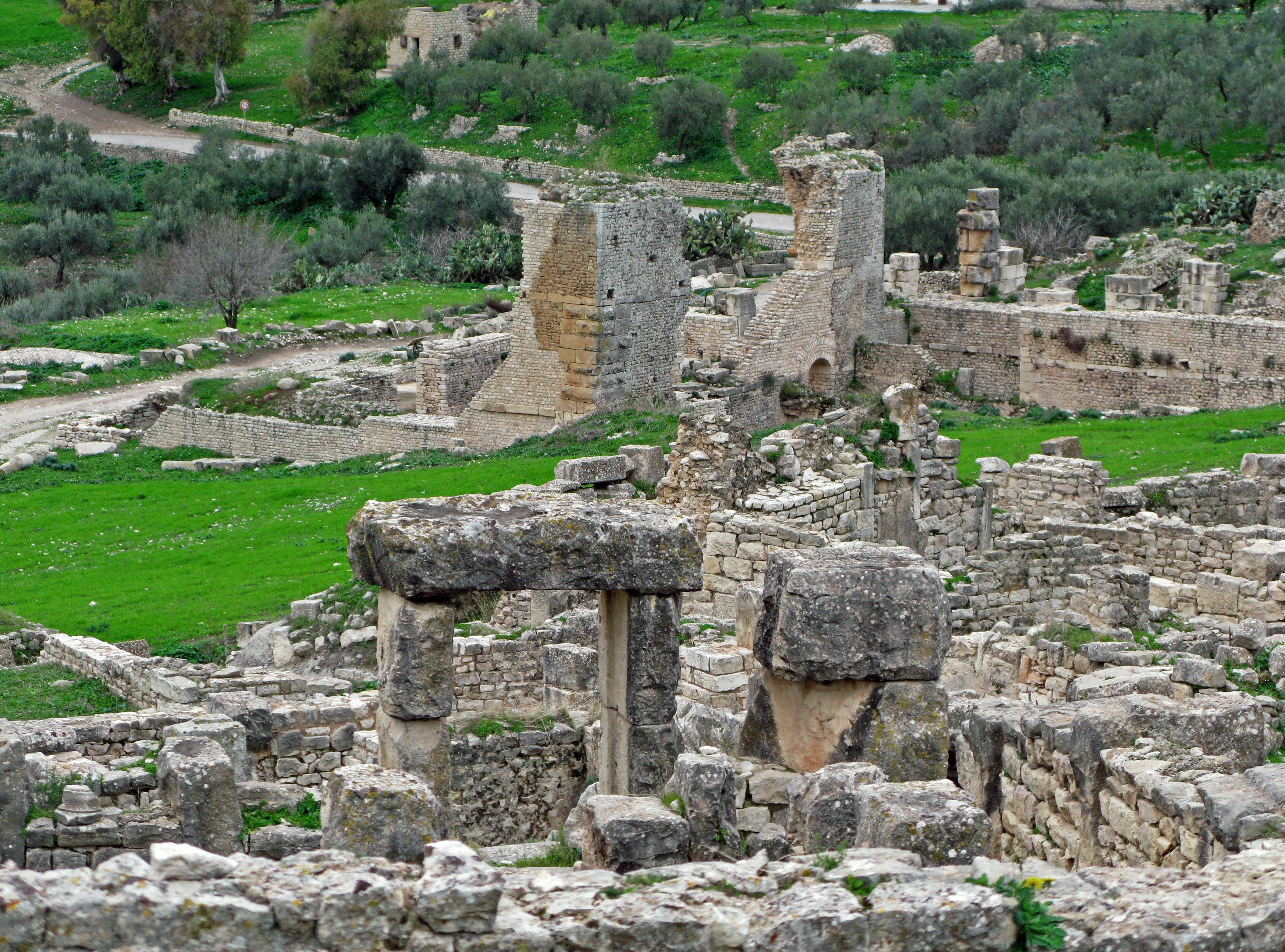 Paisaje de ruinas rodeadas de hierba verde con estructuras de piedra antiguas