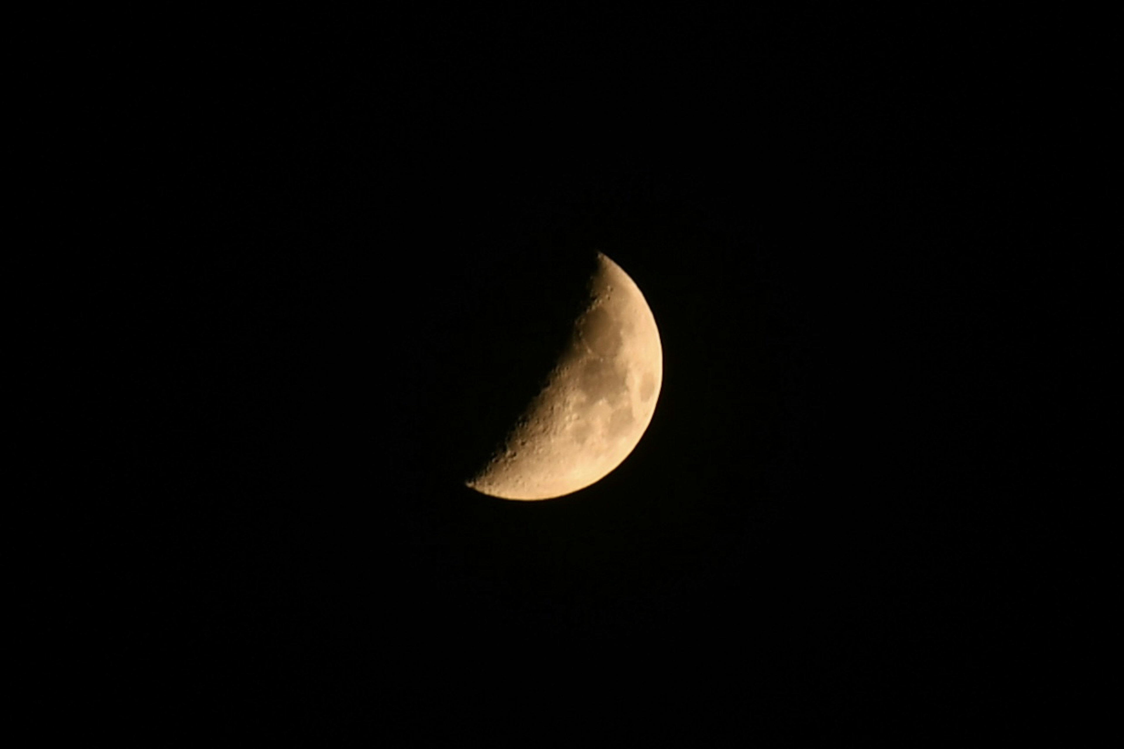 Beautiful half moon floating in the night sky