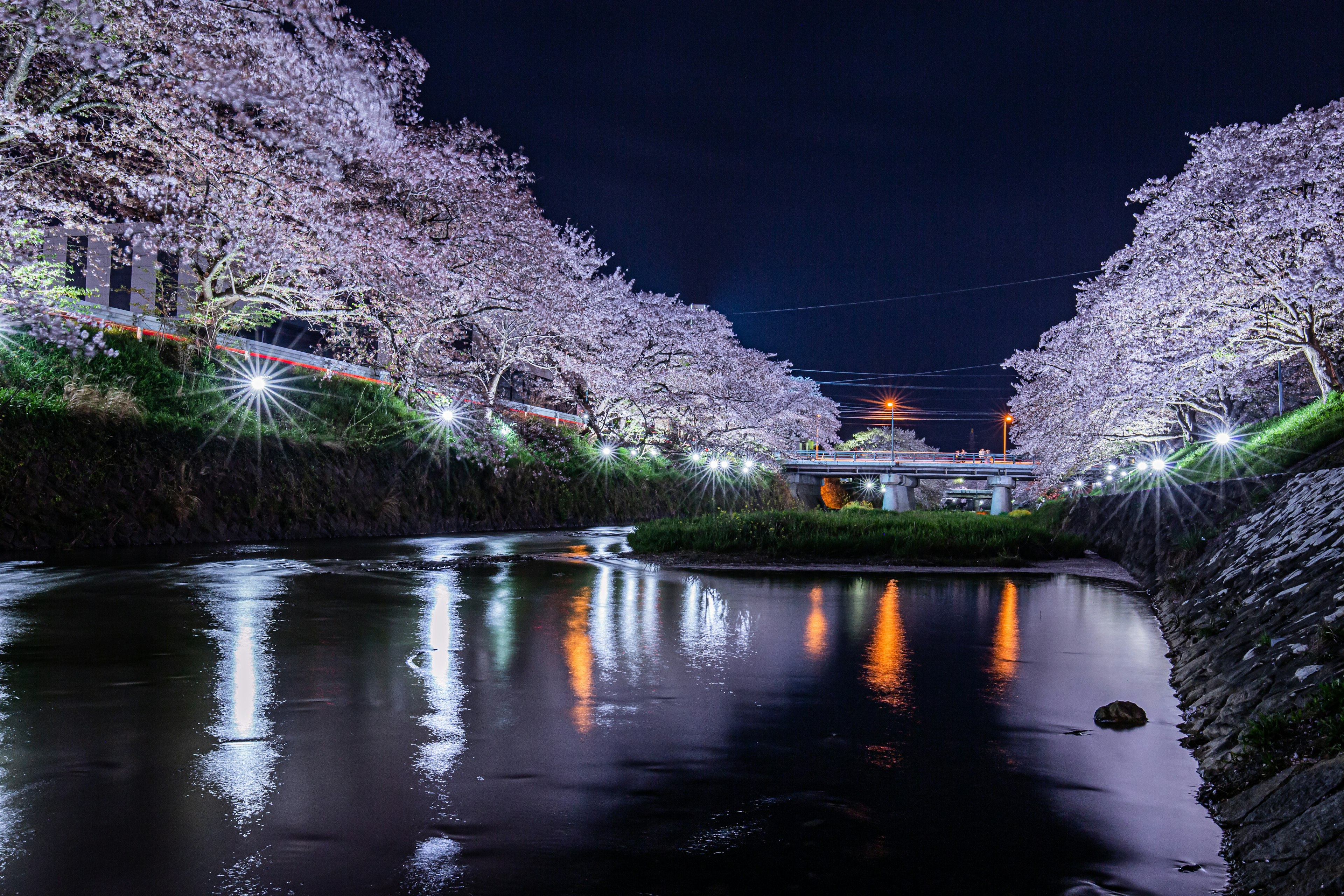 Hermosa escena nocturna de cerezos a lo largo de un río iluminado por luces