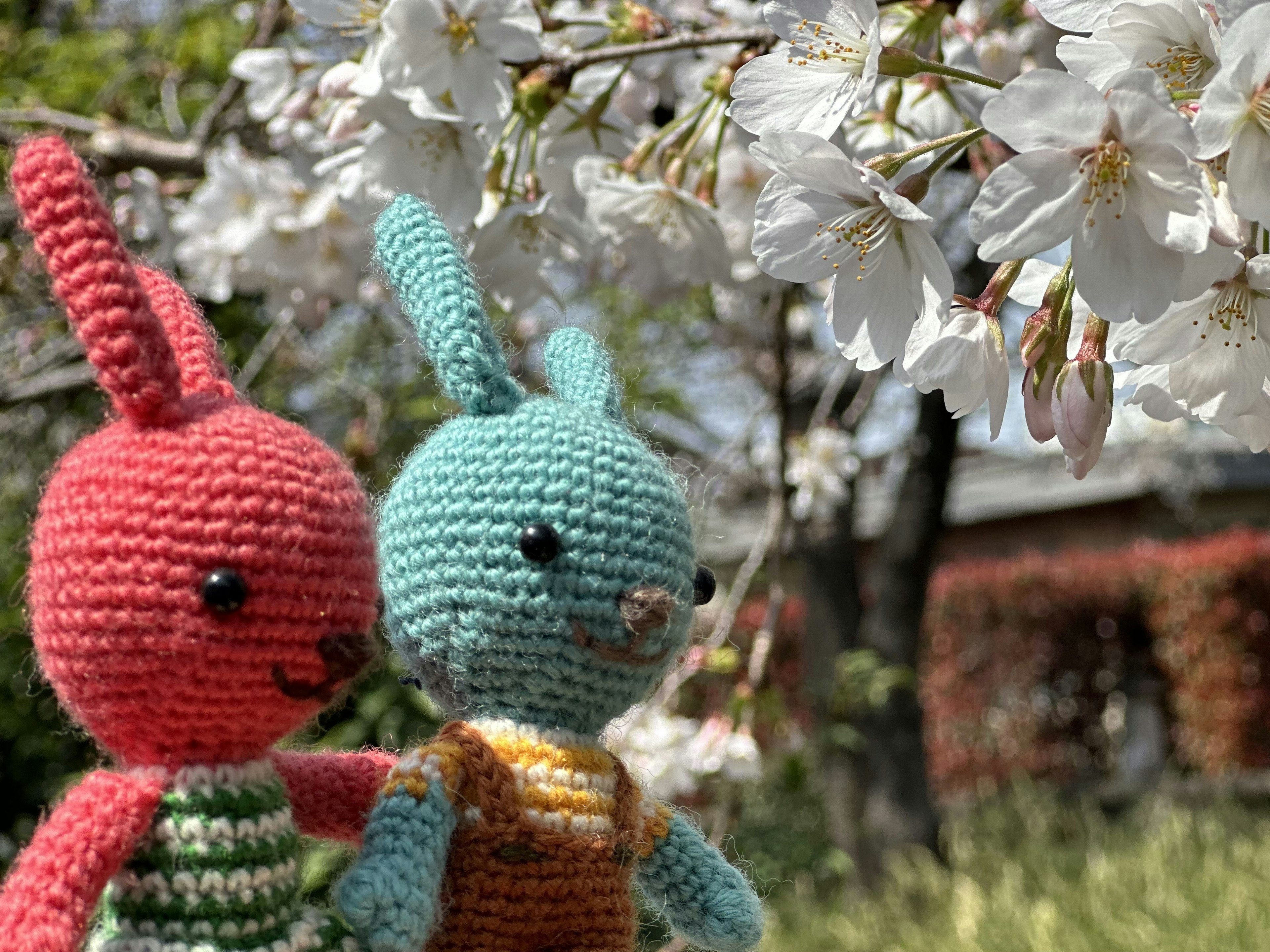 Crochet bunnies in red and blue standing in front of cherry blossoms