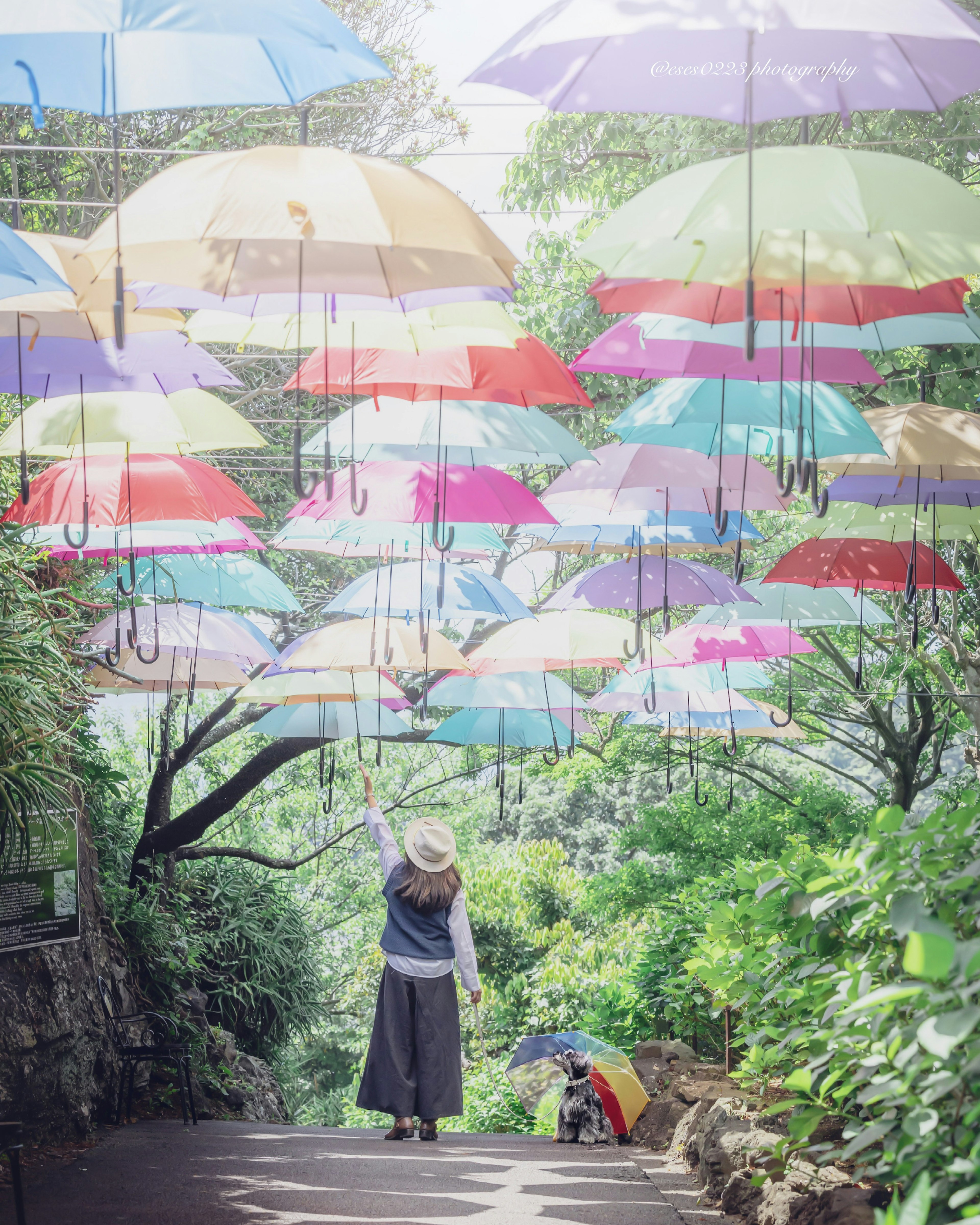 Une femme marchant sur un chemin sous des parapluies colorés suspendus