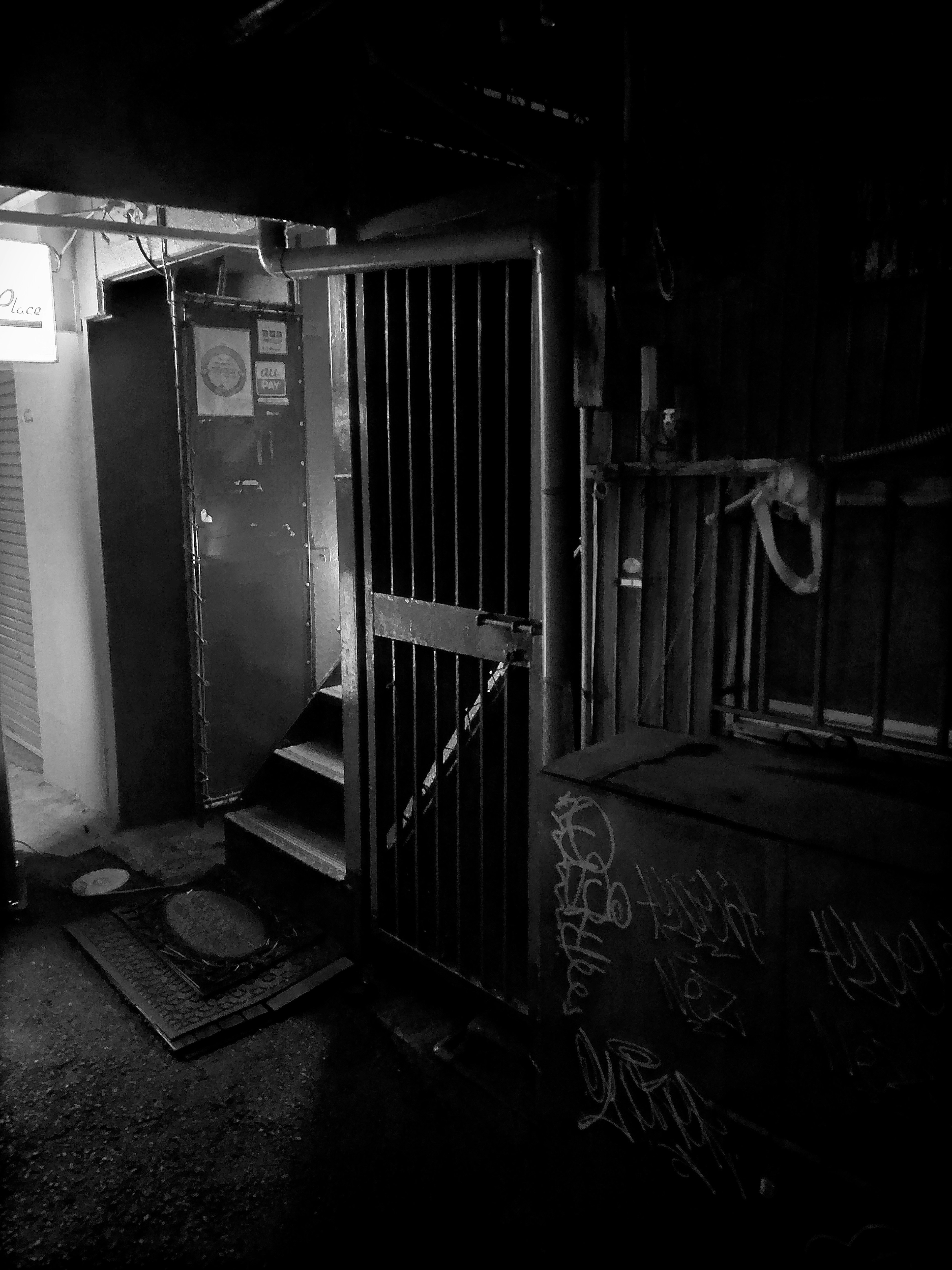 Grid-like gate and staircase in a dark corridor