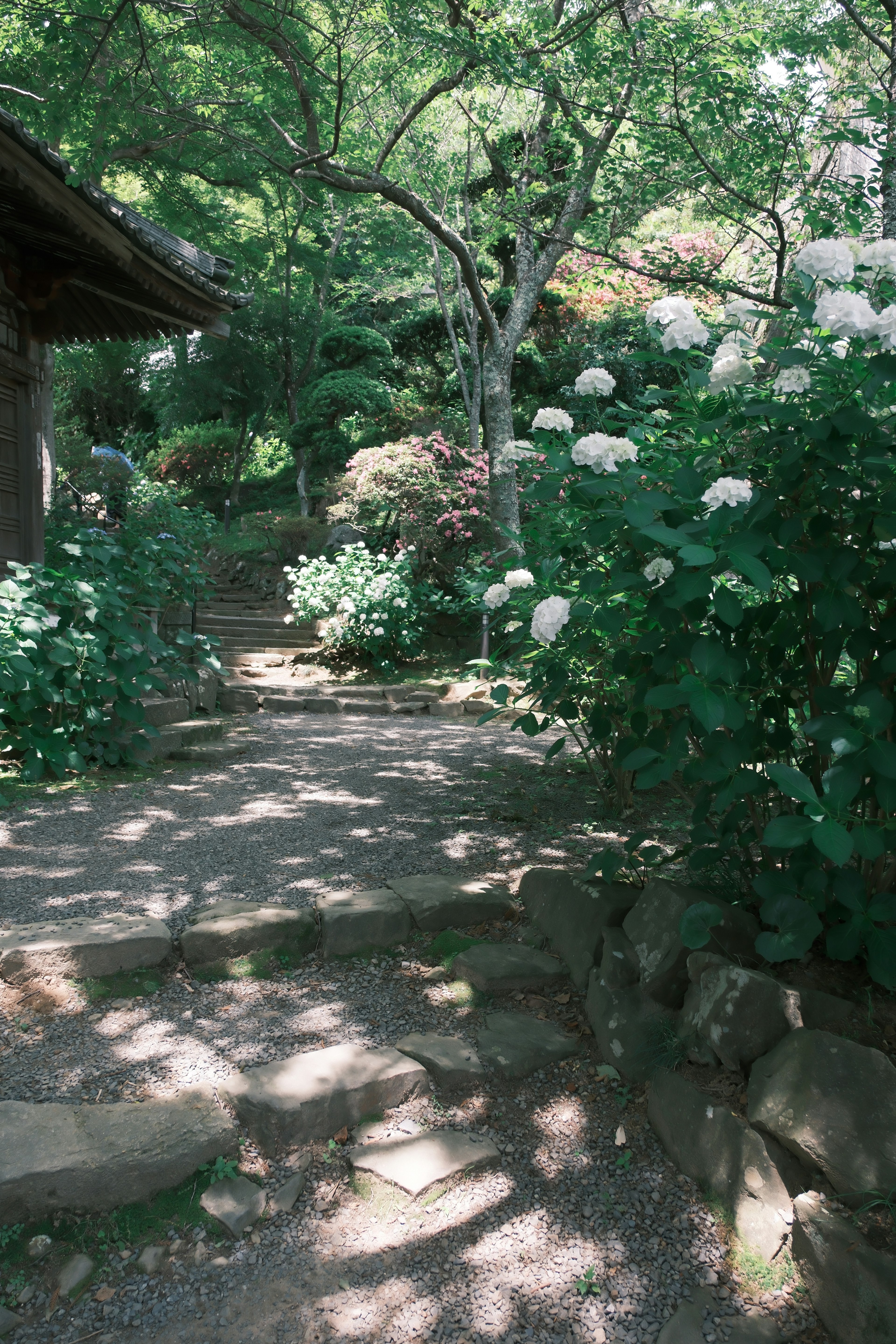 Un chemin de jardin serein entouré de verdure luxuriante et de fleurs en fleurs