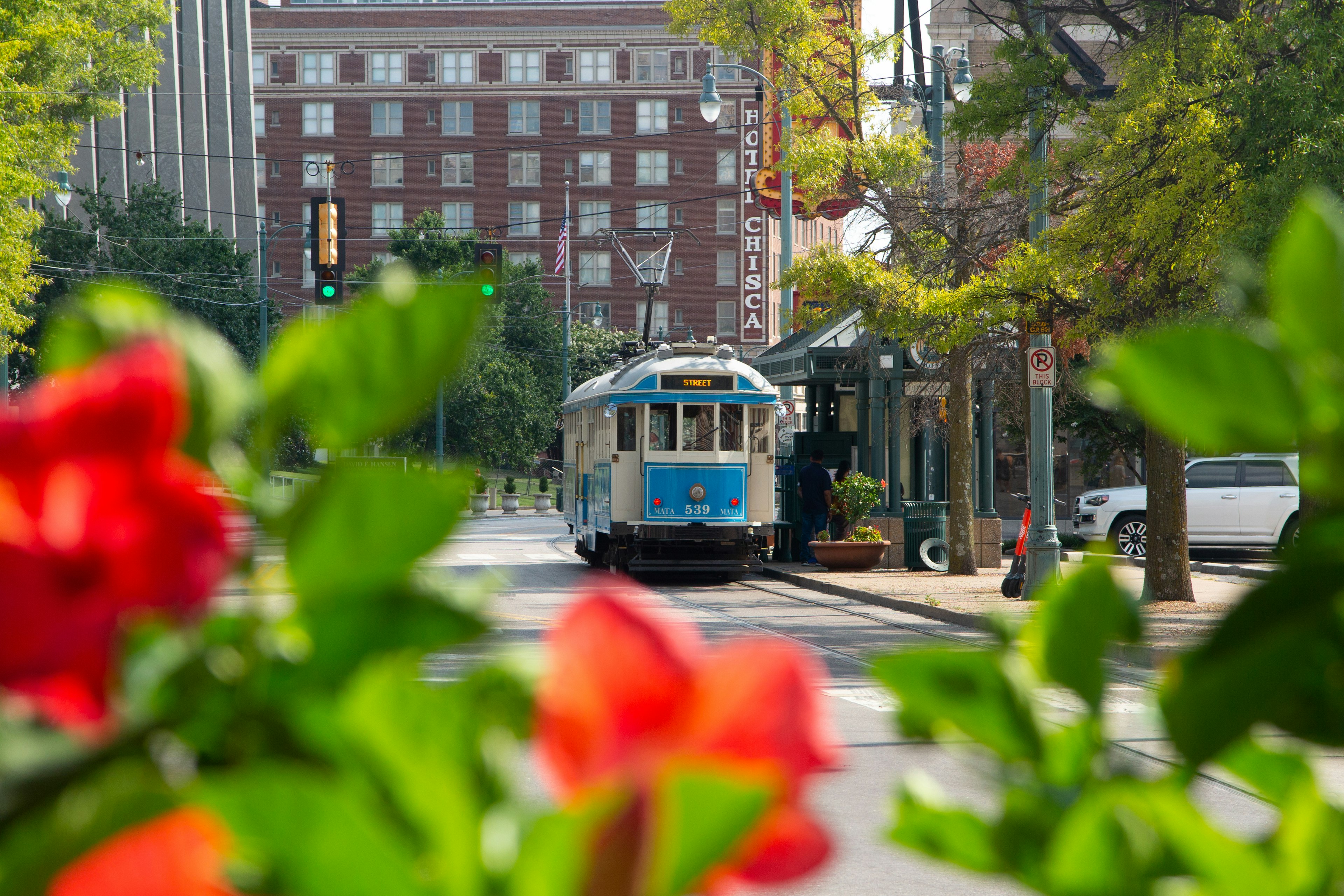 Tram in strada con fiori in primo piano