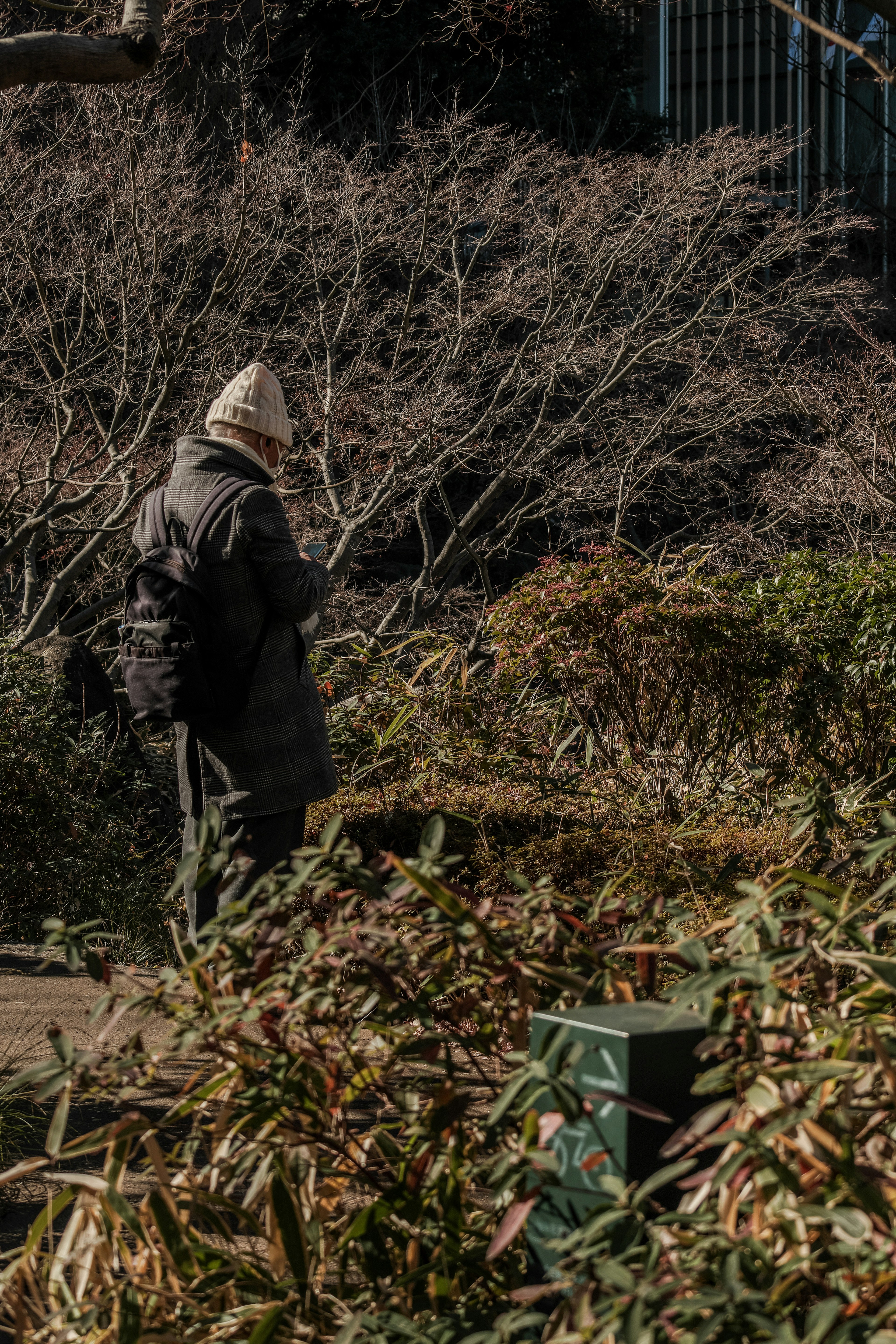 公園で携帯電話を見ている高齢者の男性