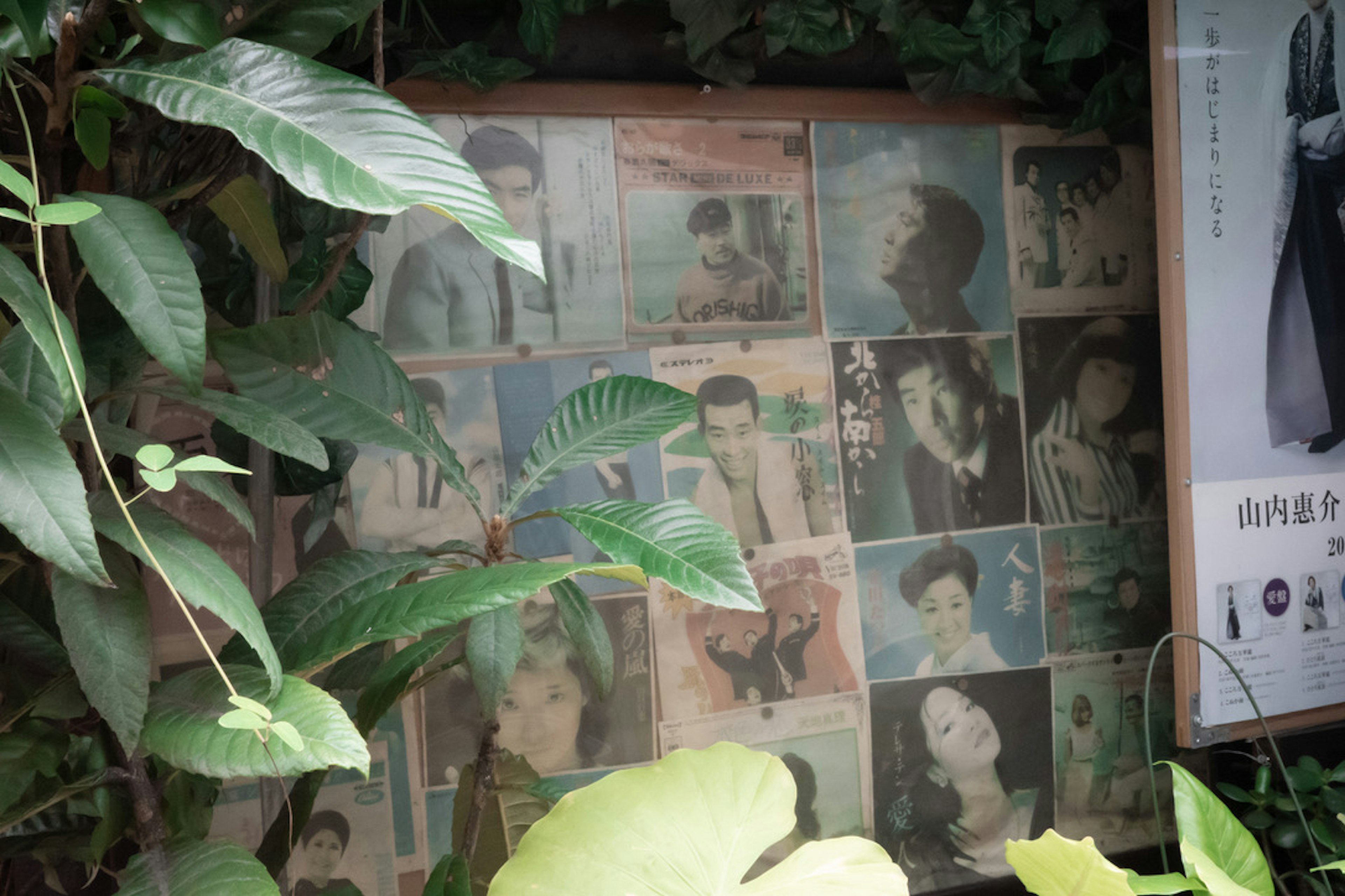 Collage of vintage black and white photos surrounded by green leaves