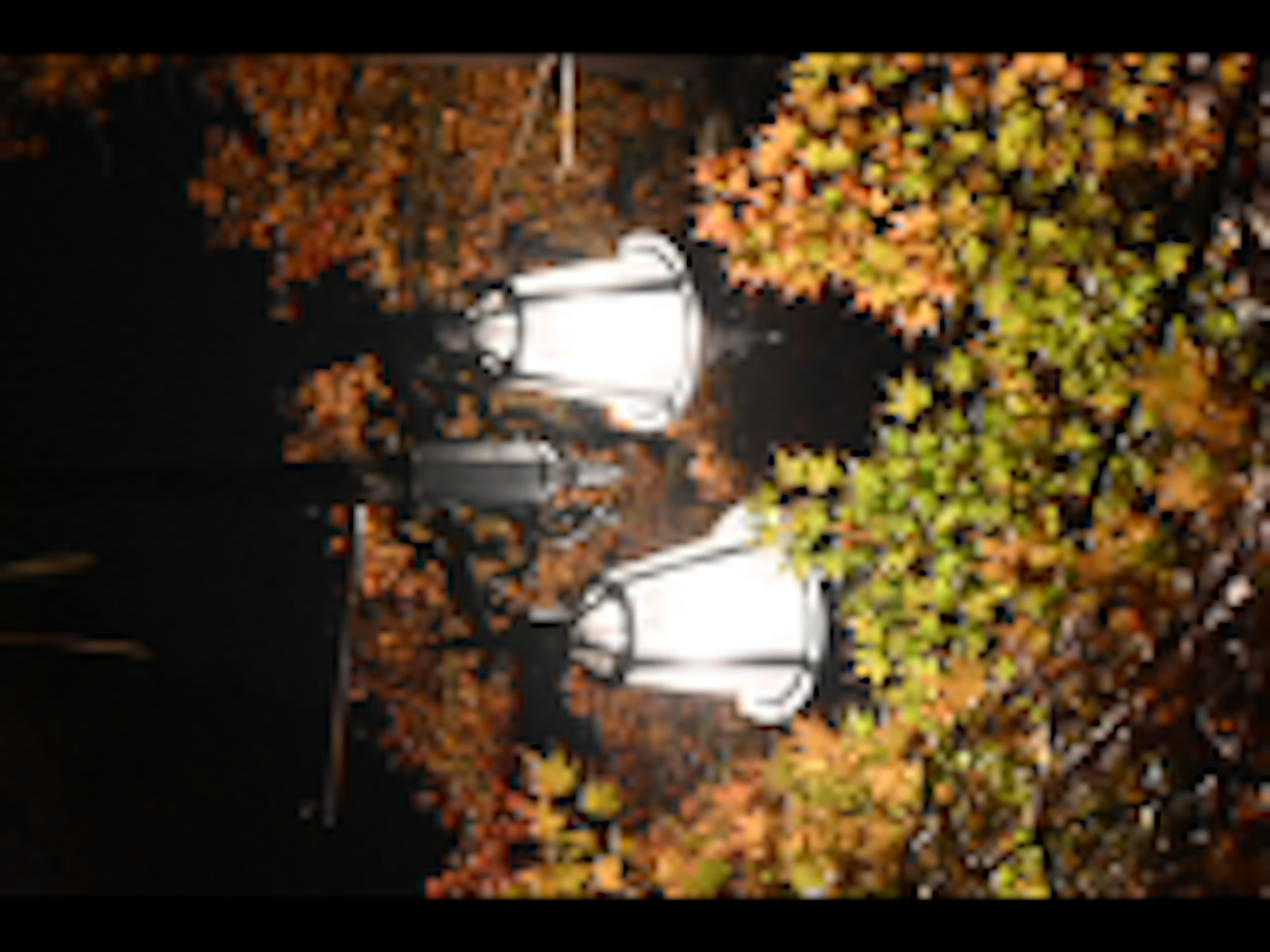 Farolas rodeadas de hojas de otoño por la noche