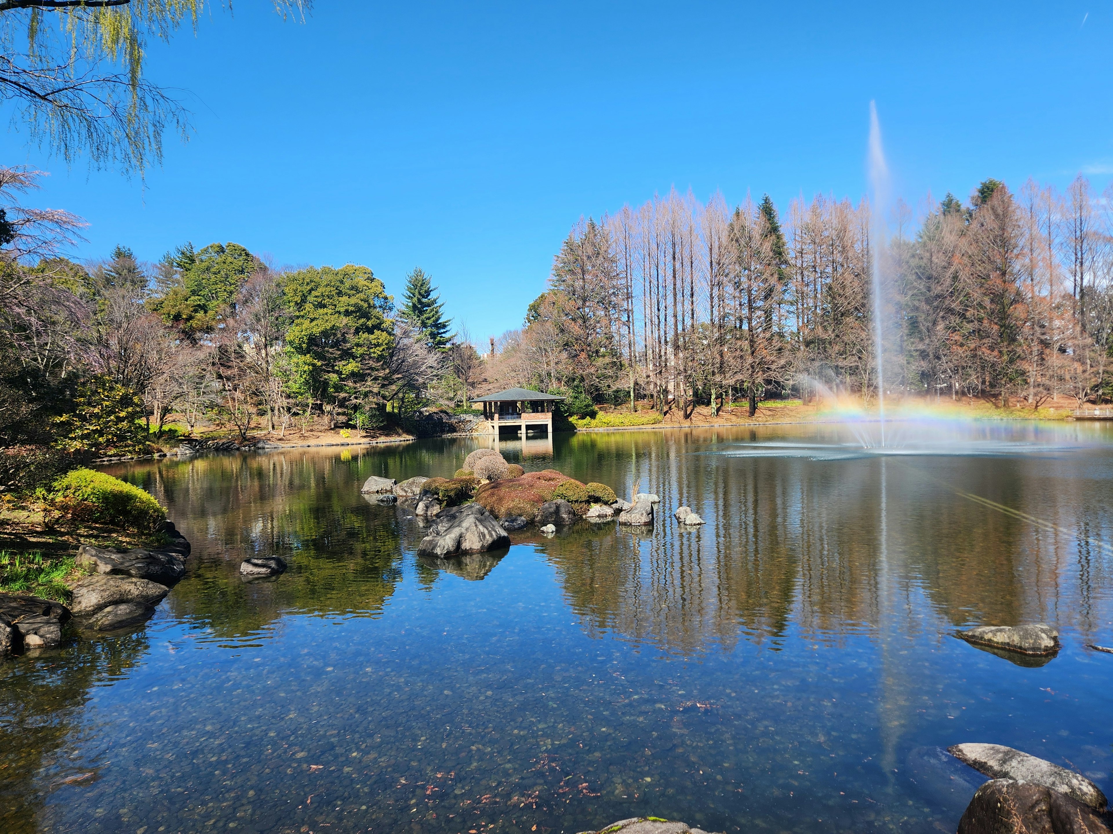 Ruhiger Teich mit einem Brunnen umgeben von Bäumen und blauem Himmel