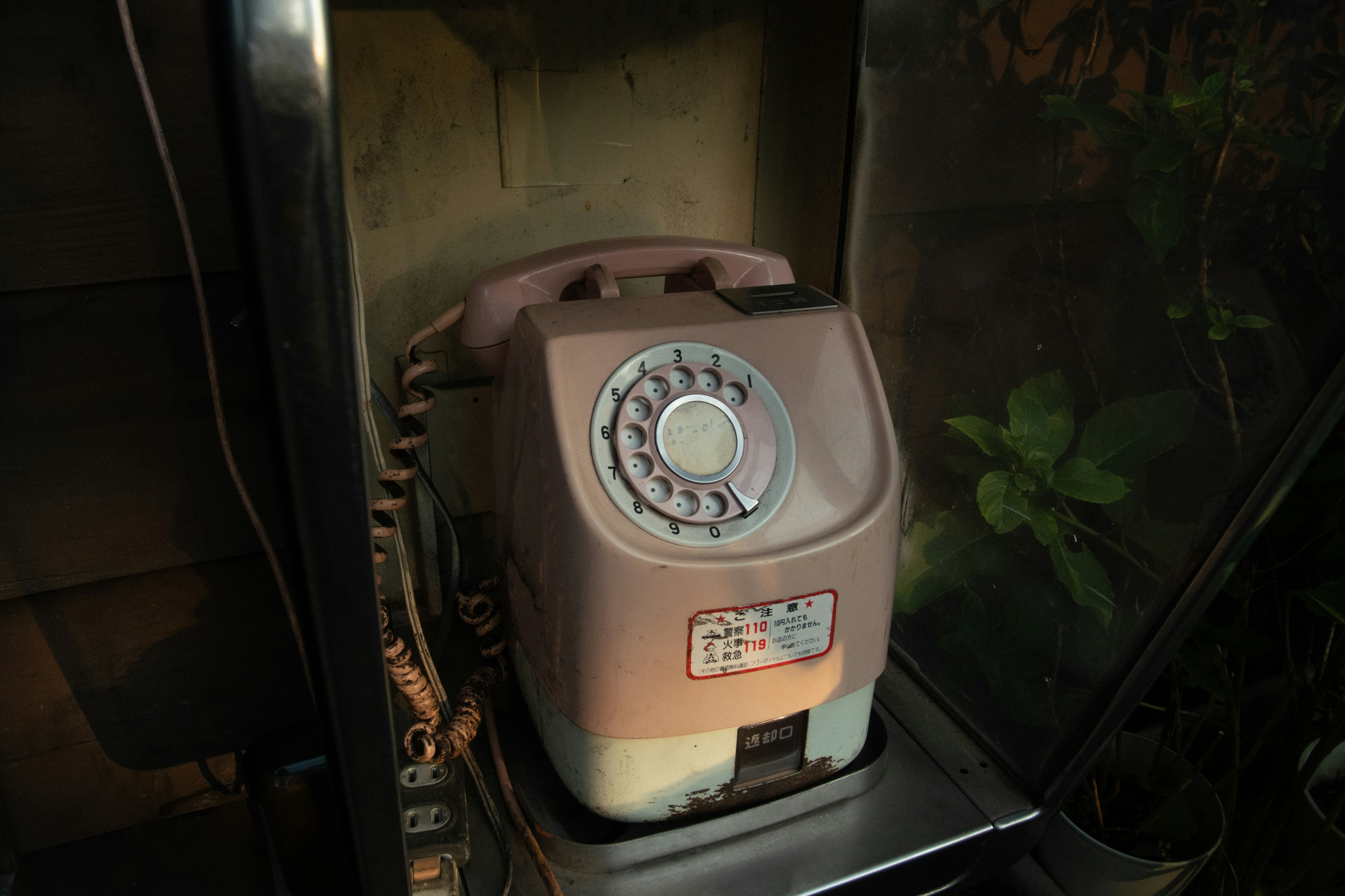 Téléphone vintage dans une zone faiblement éclairée avec des plantes en arrière-plan