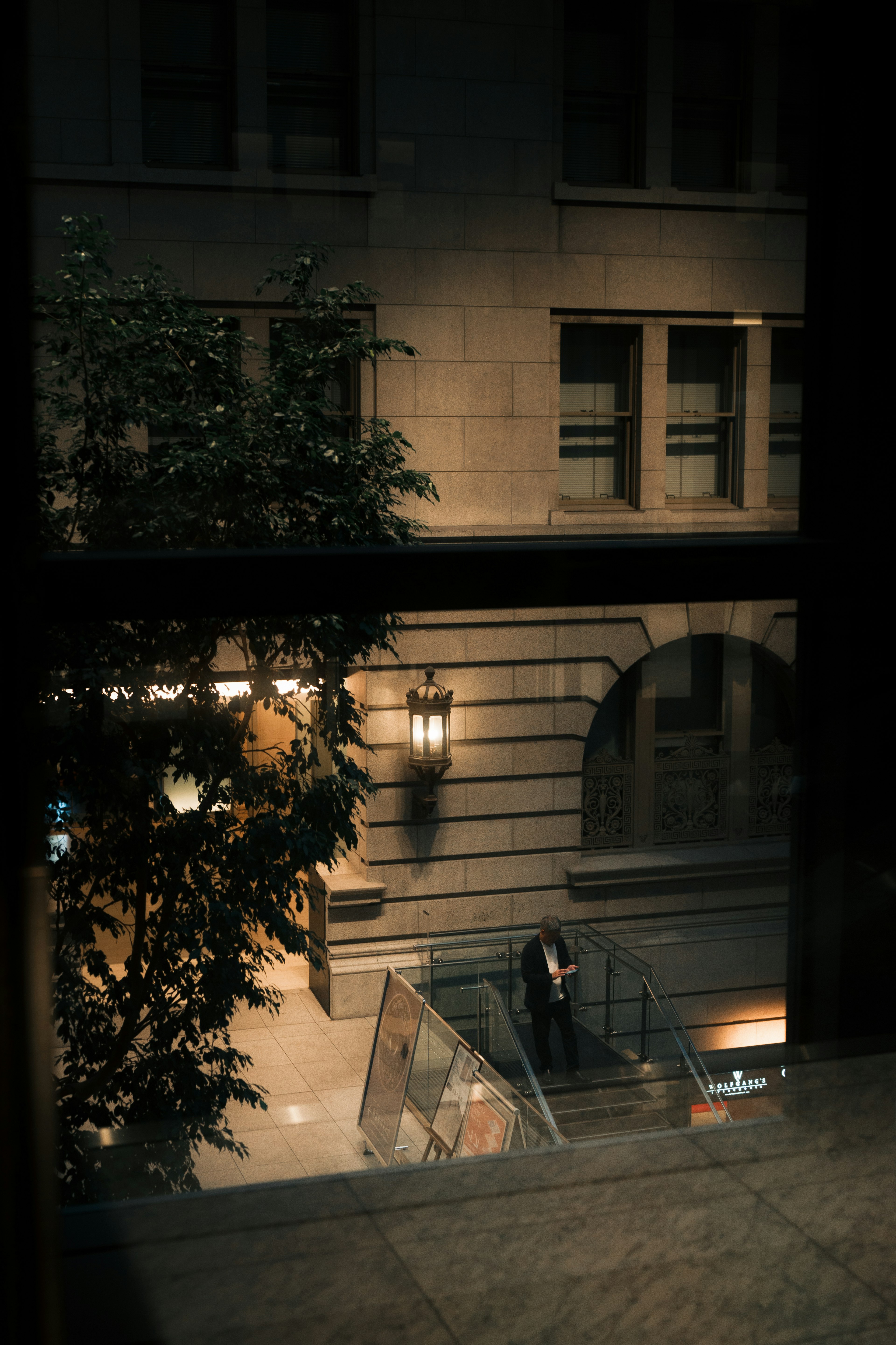 Vista di una strada cittadina di notte attraverso una finestra con piante e una persona