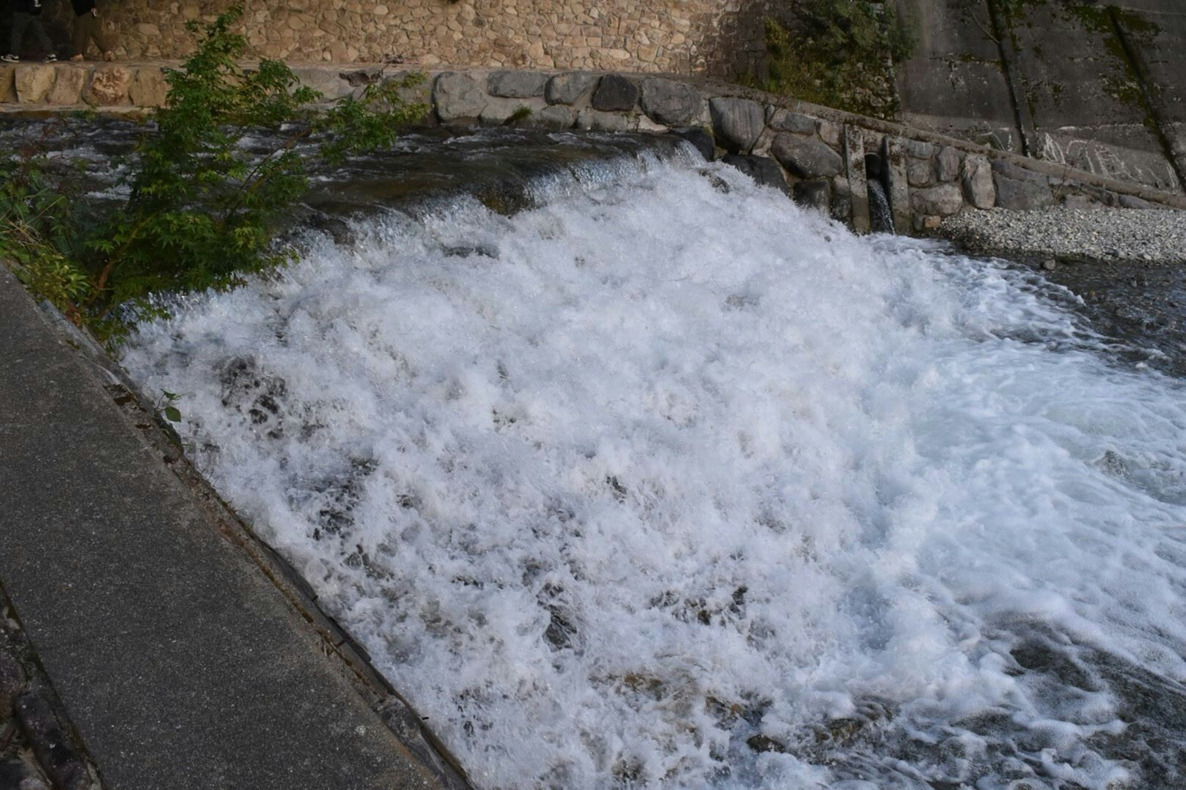 Rushing water cascading over rocks along a riverbank