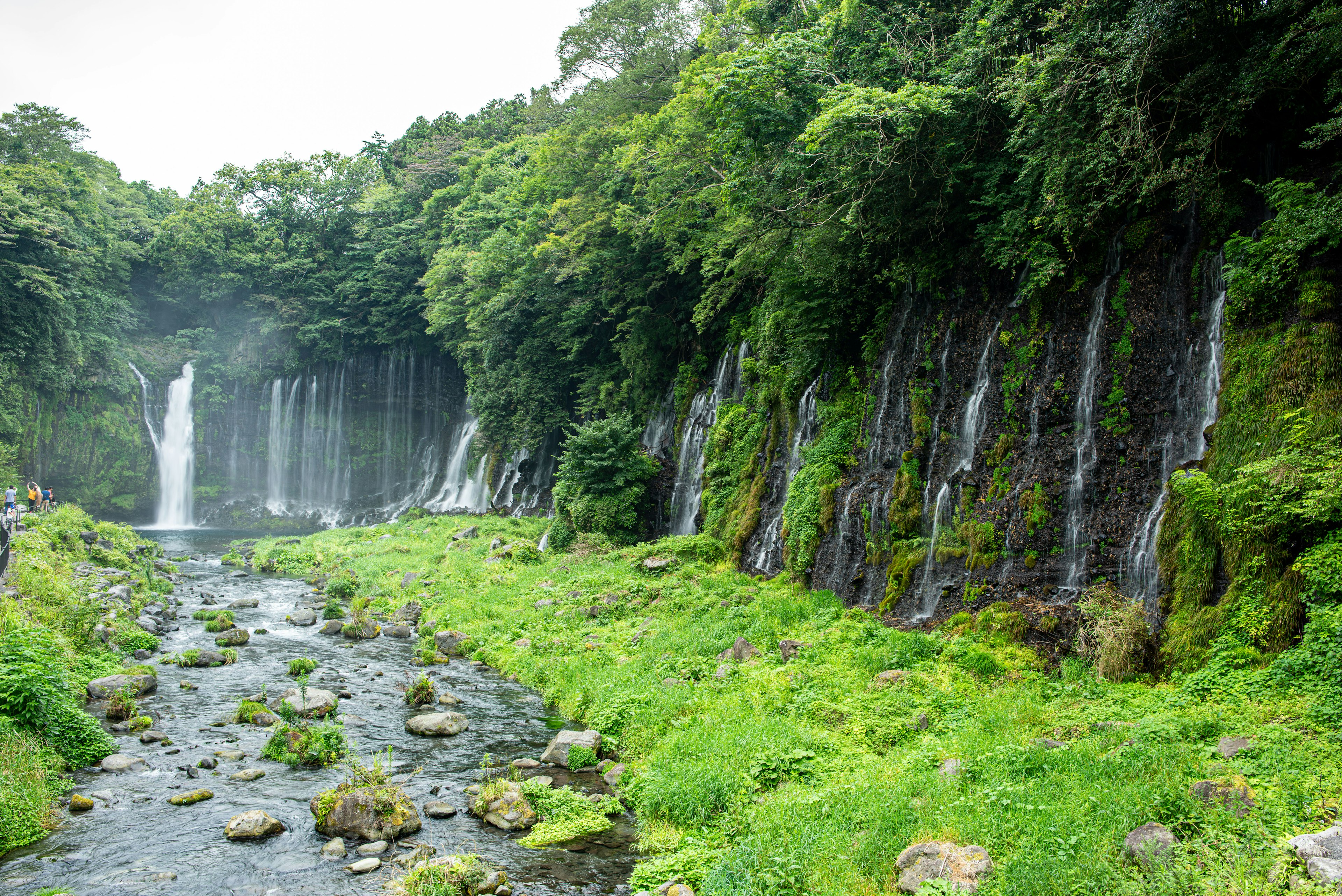 Pemandangan indah air terjun dikelilingi oleh pepohonan rimbun