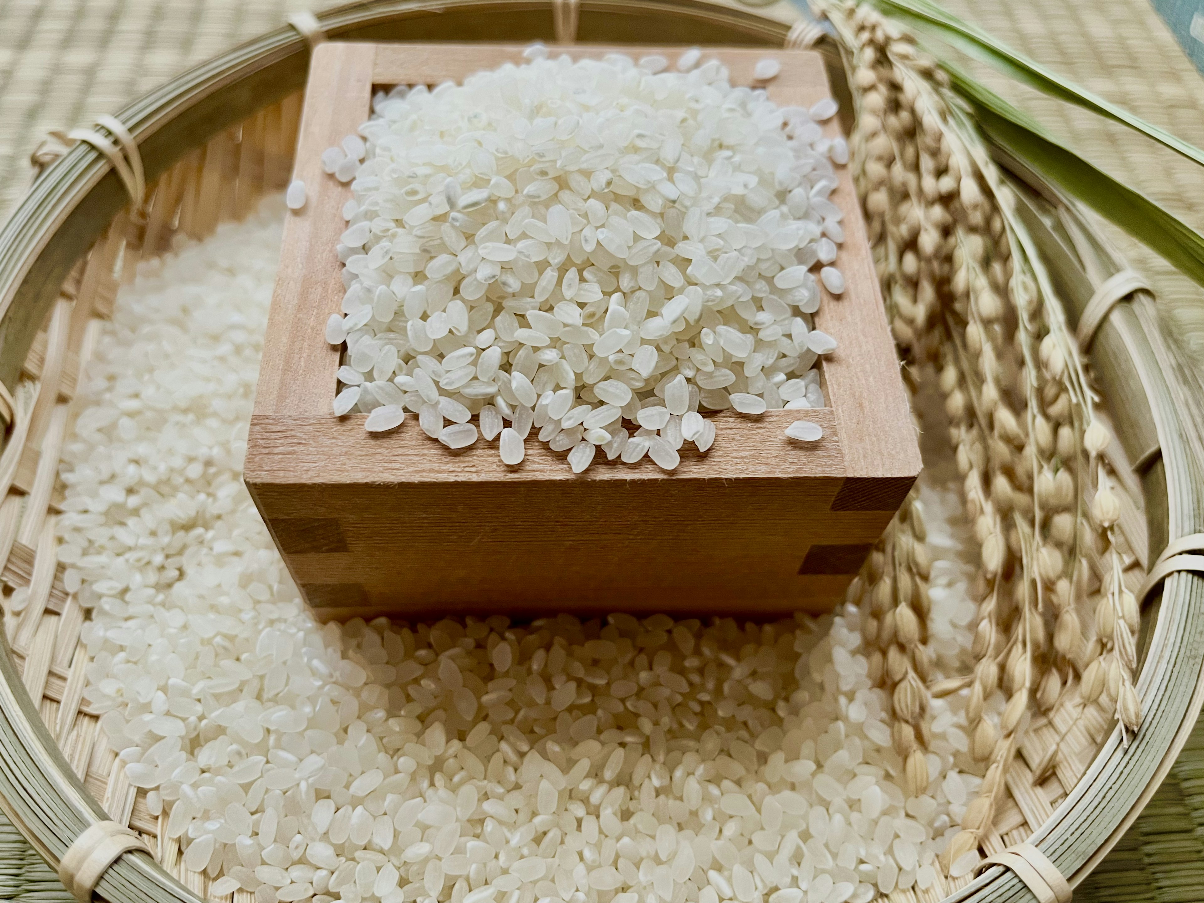 Riz blanc empilé dans un récipient en bois entouré de grains de riz éparpillés