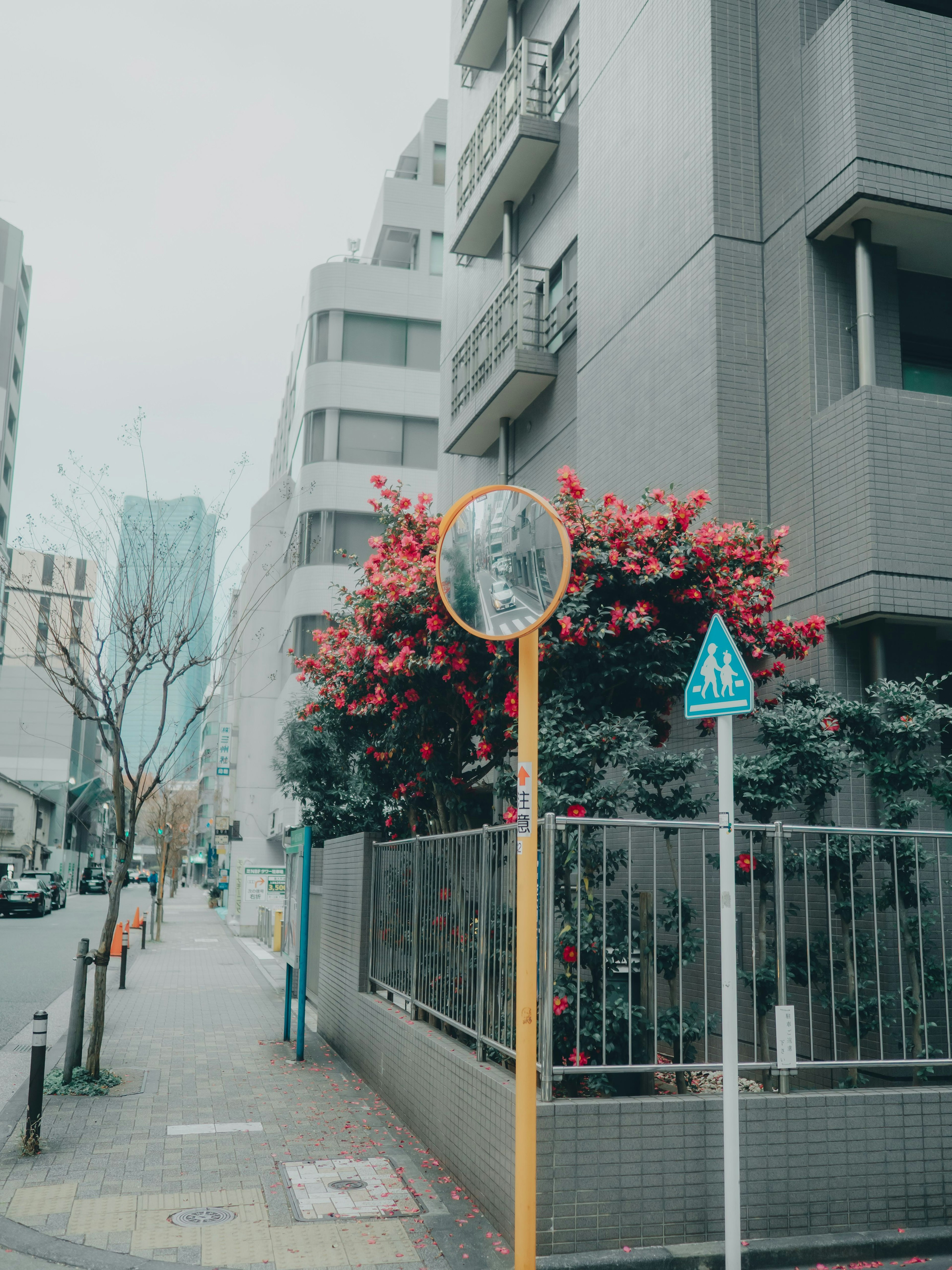 Urban scene with blooming flowers and buildings featuring a mirror sign and blue traffic sign