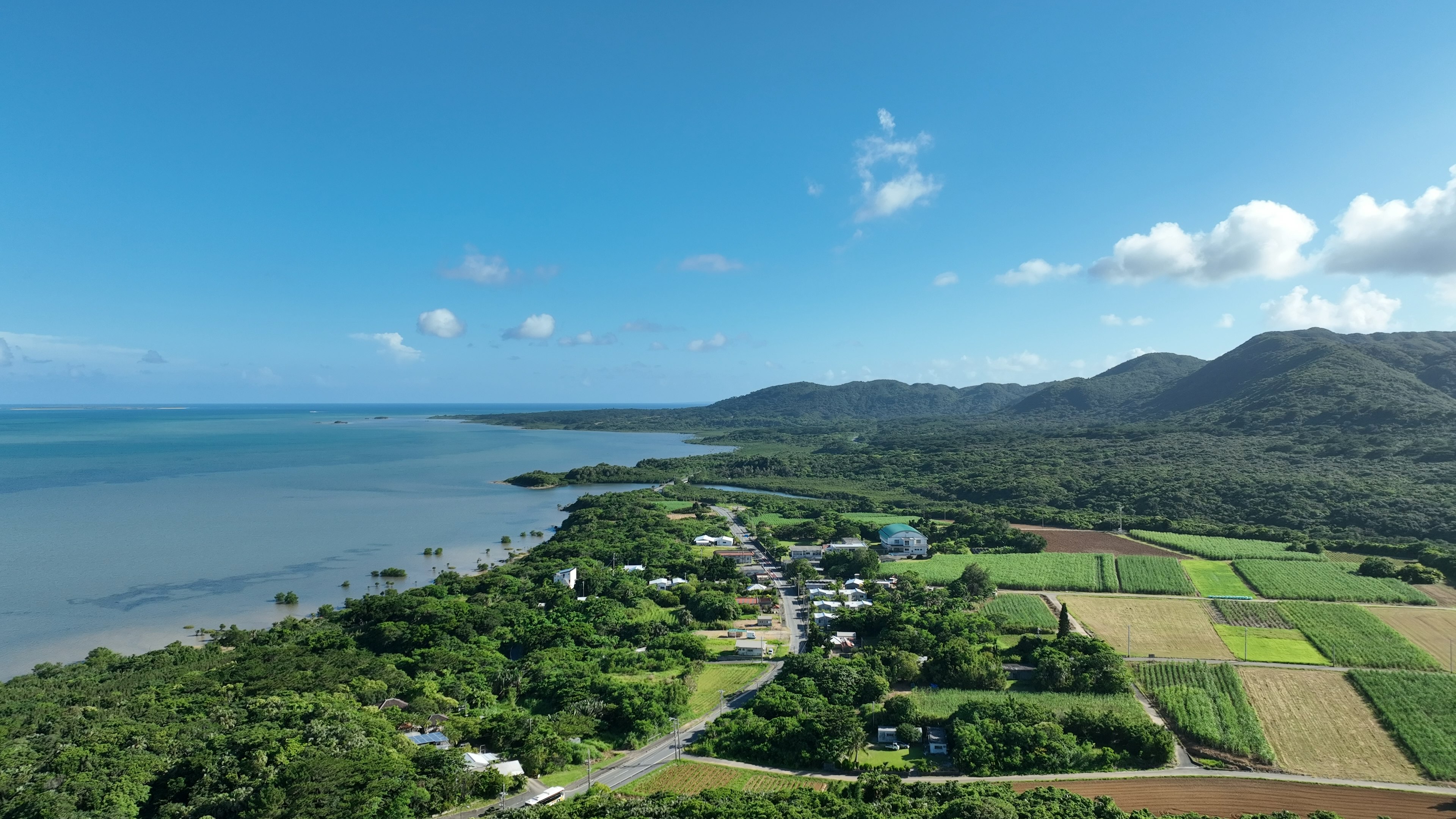 海岸線と緑豊かな農地を持つ美しい風景